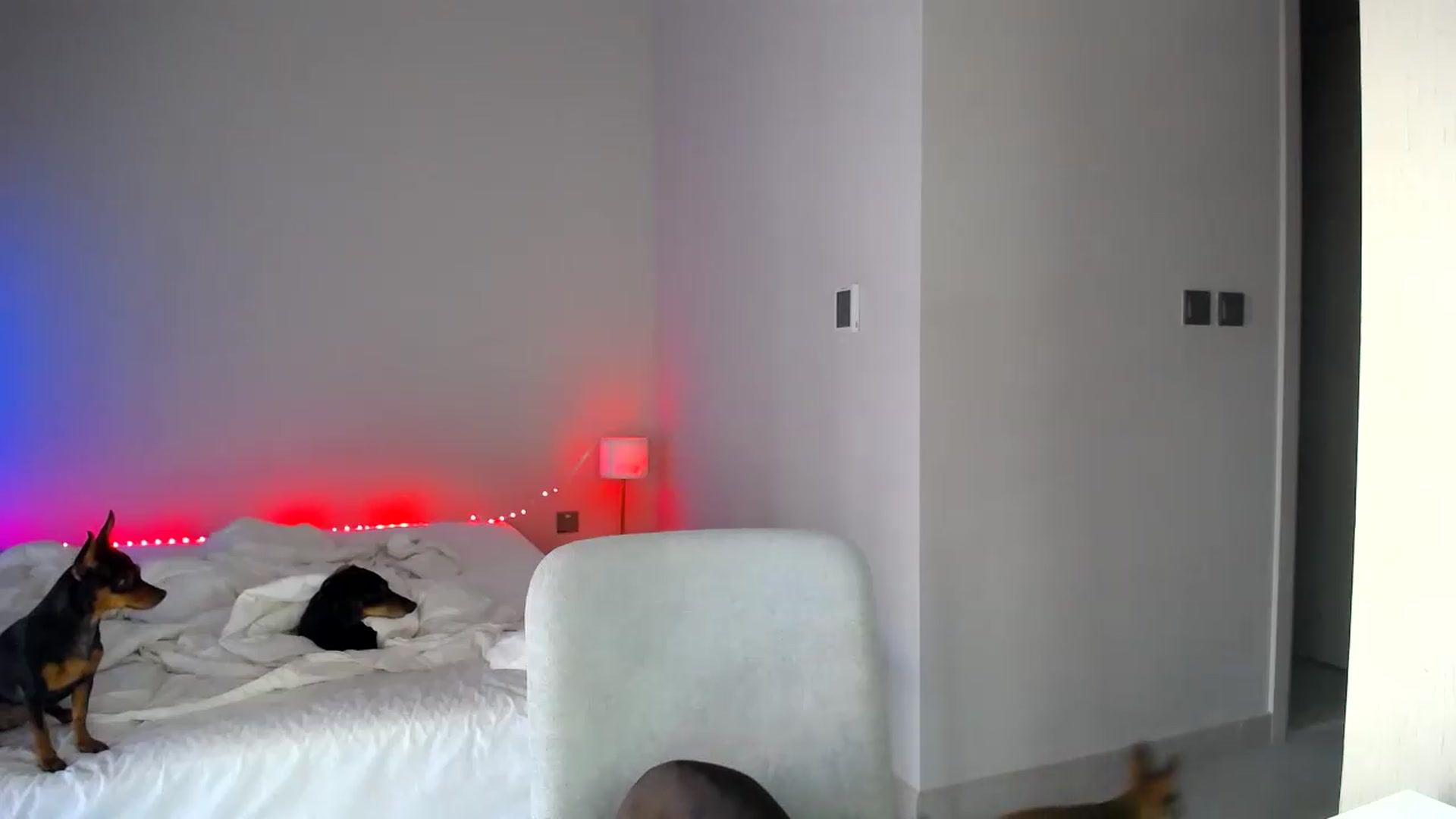 Gallery image thumbnail from aaaaaaaaaaaay's myfreecams stream on, 07/23/2026, 05:54 image 5 of 20