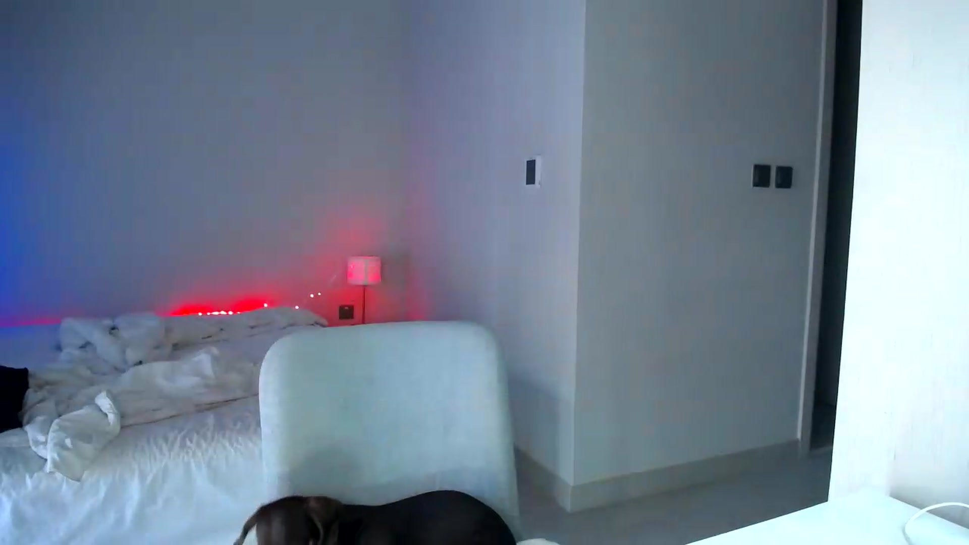 Gallery image thumbnail from aaaaaaaaaaaay's myfreecams stream on, 08/05/2026, 05:57 image 10 of 20
