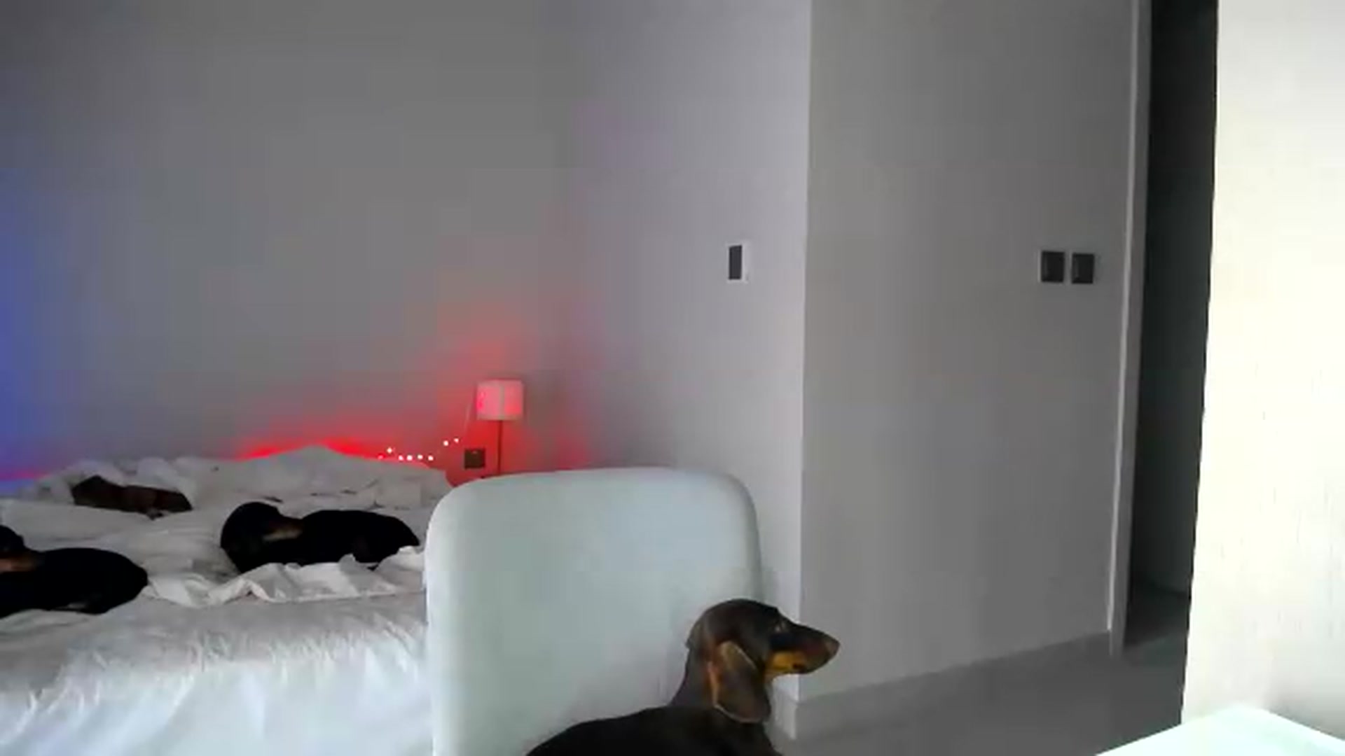 Gallery image thumbnail from aaaaaaaaaaaay's myfreecams stream on, 08/07/2026, 05:58 image 10 of 20