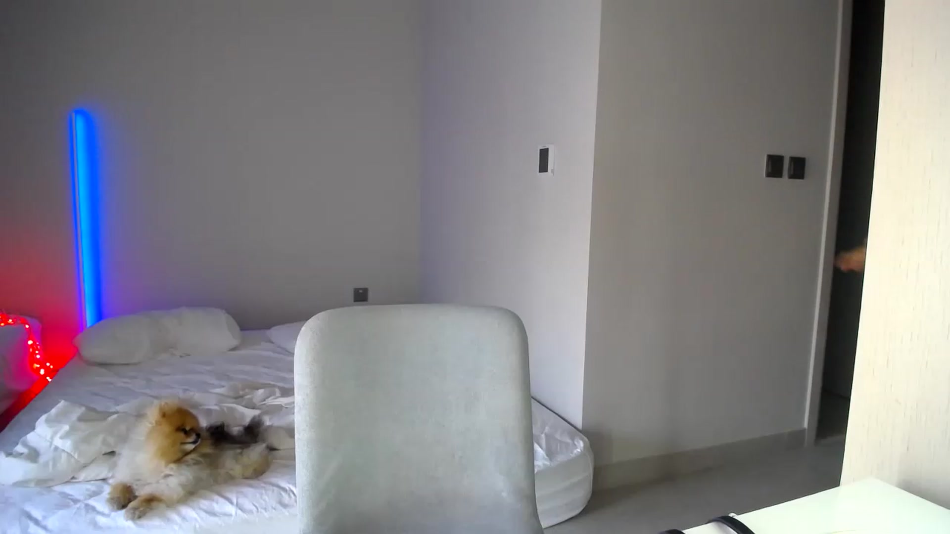 Gallery image thumbnail from aaaaaaaaaaaay's myfreecams stream on, 08/27/2026, 06:13 image 7 of 20