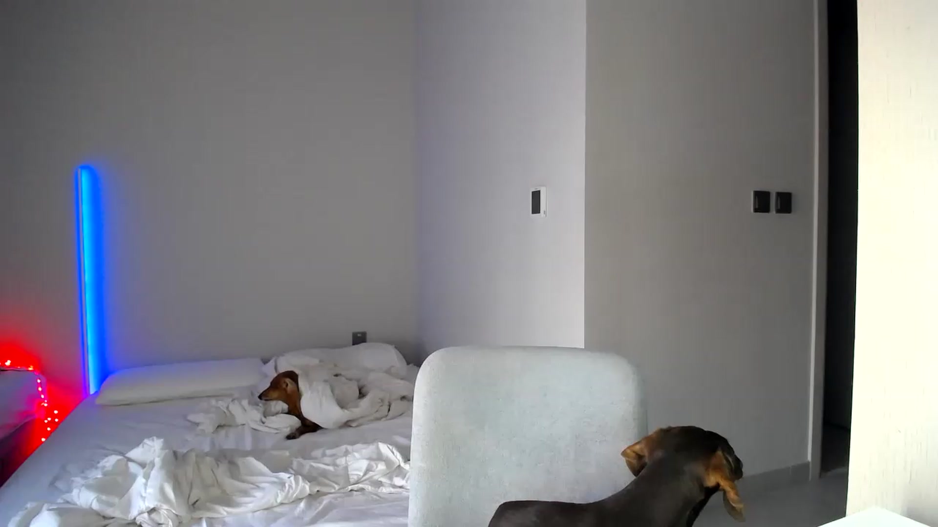 Gallery image thumbnail from aaaaaaaaaaaay's myfreecams stream on, 09/01/2026, 05:41 image 4 of 20