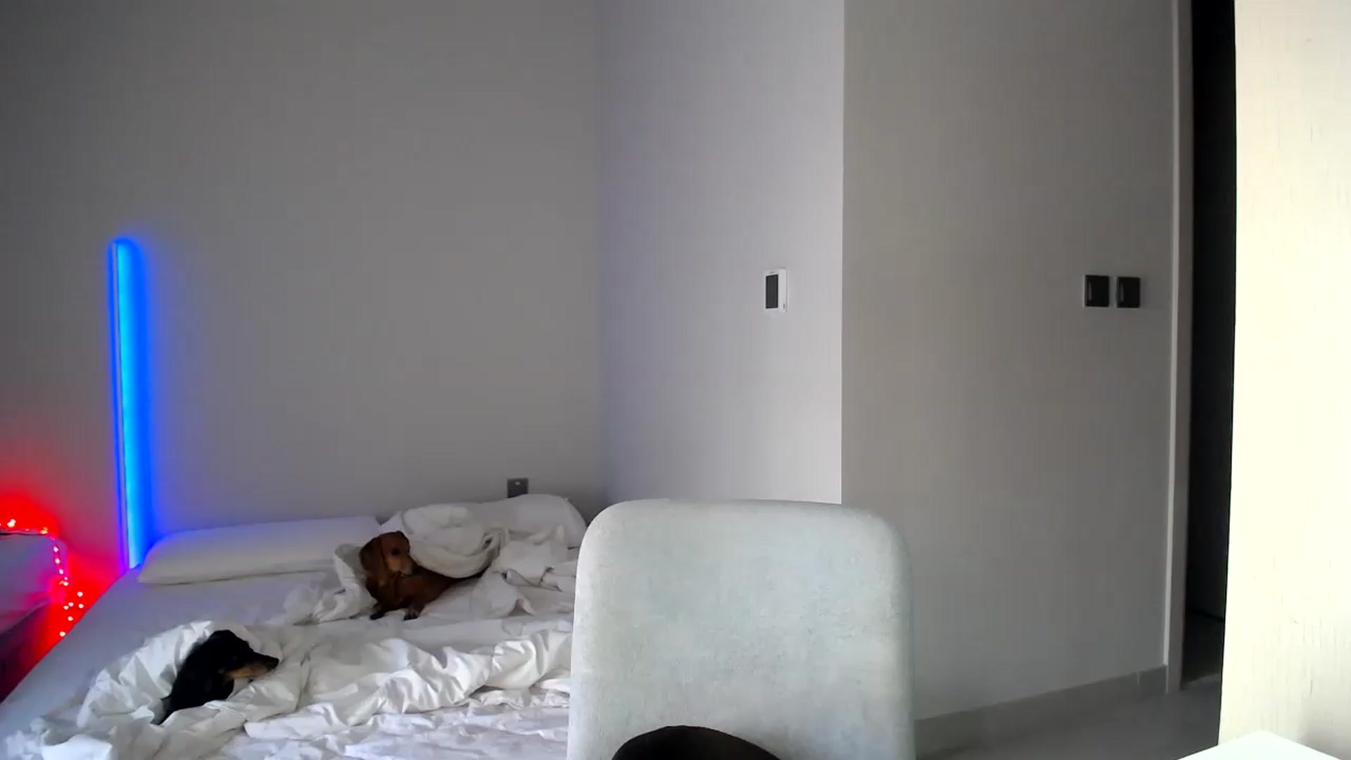 Gallery image thumbnail from aaaaaaaaaaaay's myfreecams stream on, 09/01/2026, 05:41 image 2 of 20