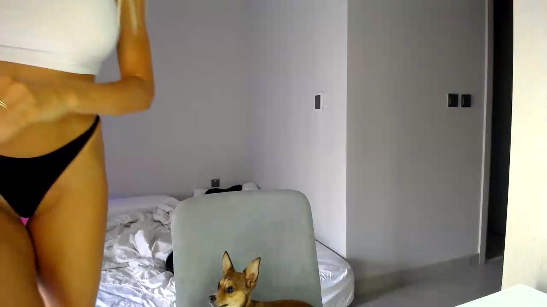 Gallery image thumbnail from aaaaaaaaaaaay's myfreecams stream on, 09/13/2026, 05:53 image 8 of 20