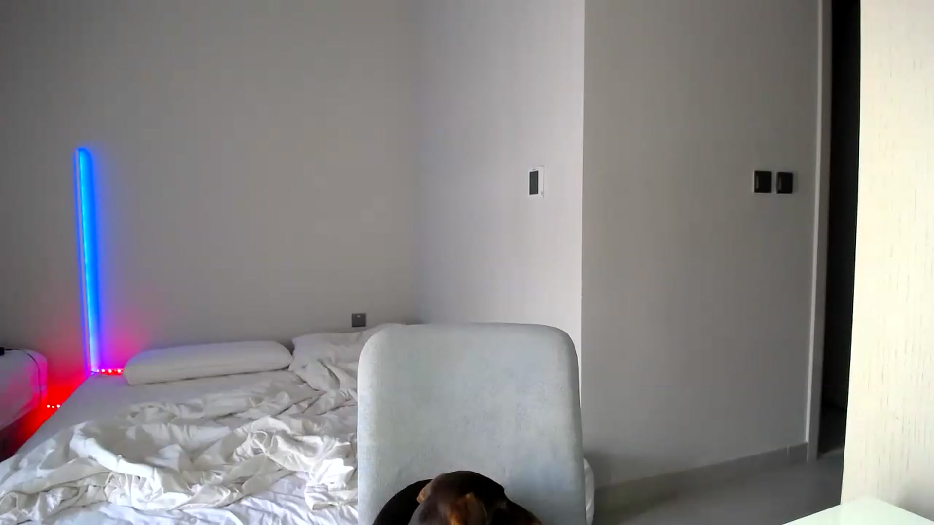 Gallery image thumbnail from aaaaaaaaaaaay's myfreecams stream on, 09/14/2026, 07:06 image 16 of 20
