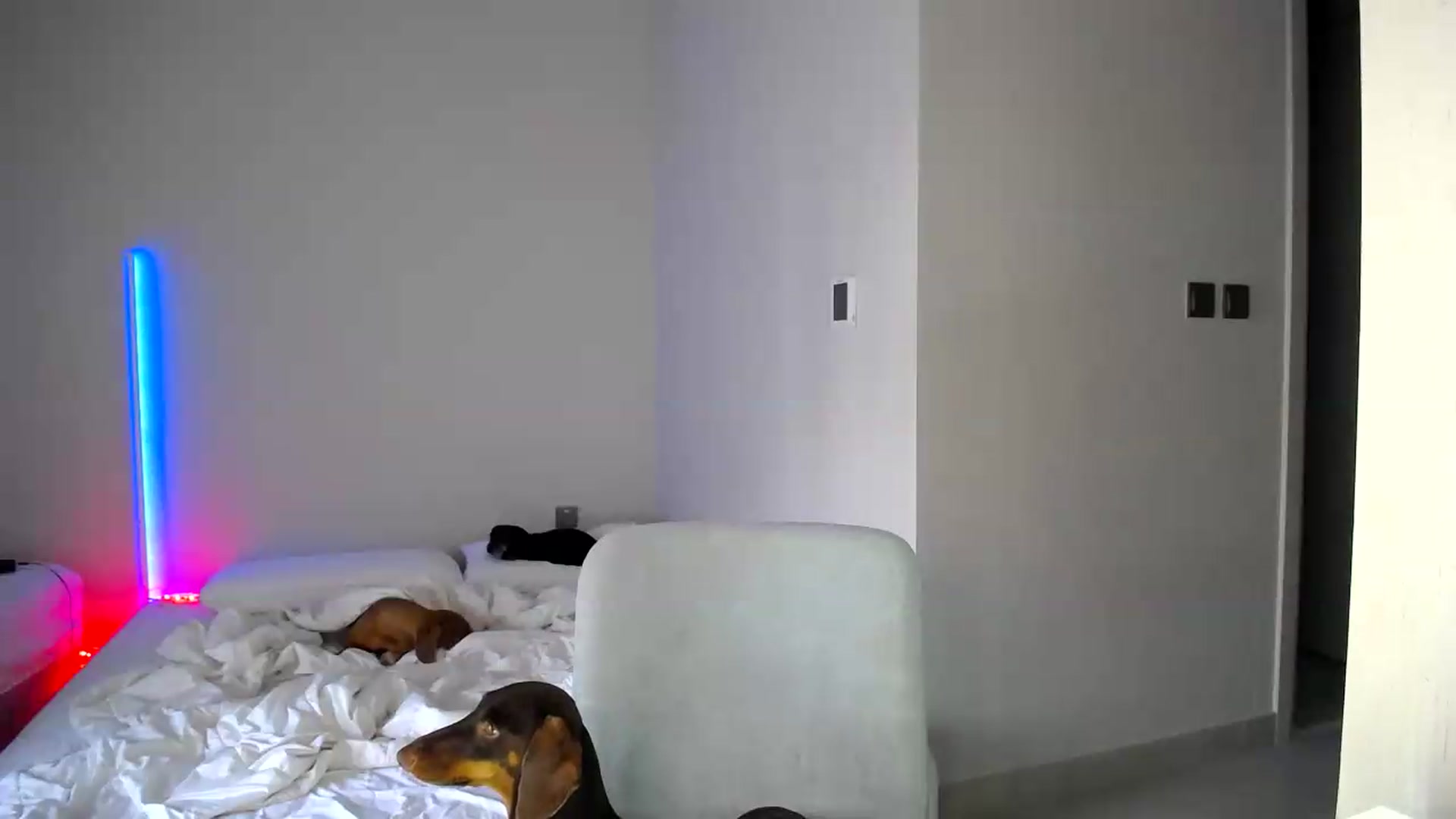 Gallery image thumbnail from aaaaaaaaaaaay's myfreecams stream on, 09/17/2026, 05:19 image 8 of 20