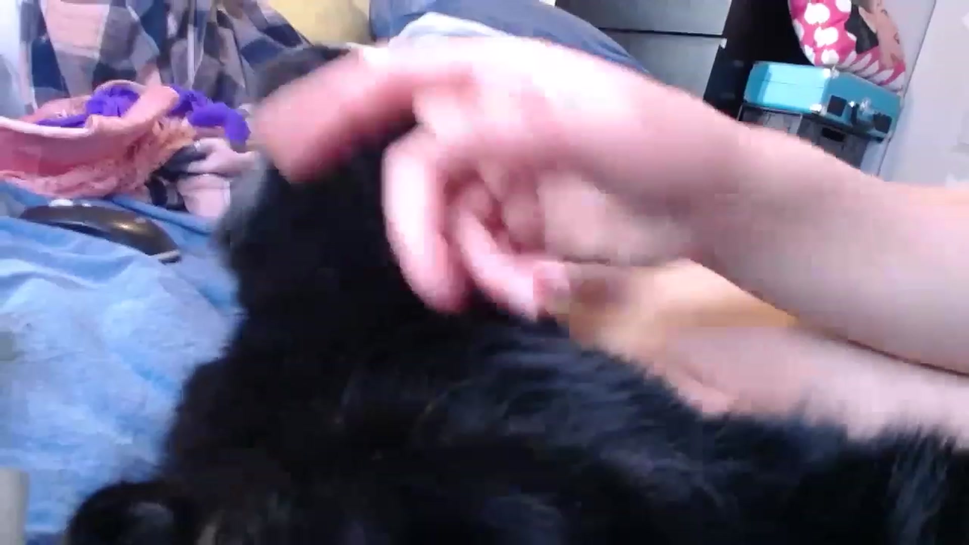 Gallery image thumbnail from abustybabe's myfreecams stream on, 04/21/2023, 21:39 image 12 of 20