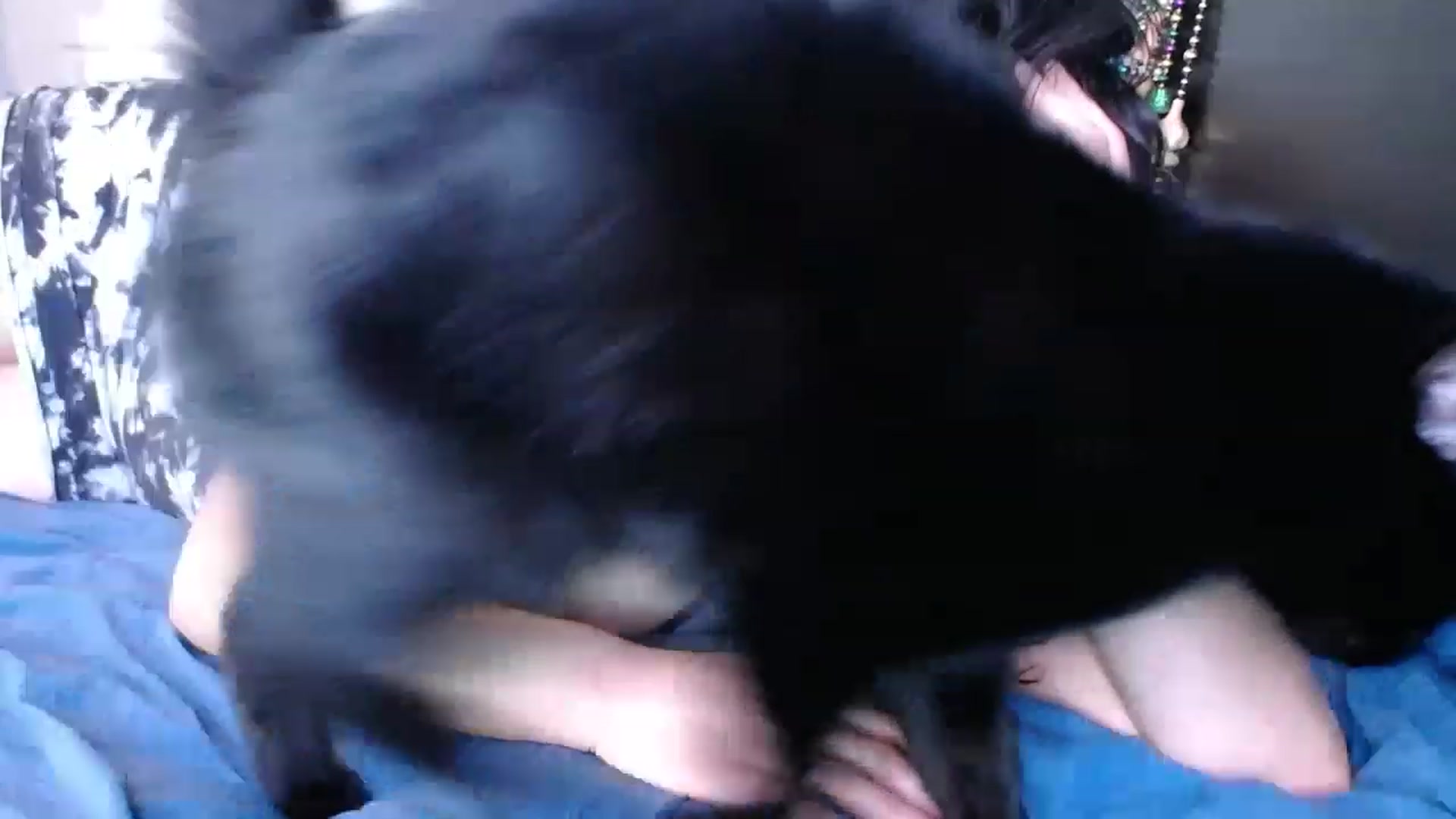 Gallery image thumbnail from abustybabe's myfreecams stream on, 04/21/2023, 22:08 image 4 of 20