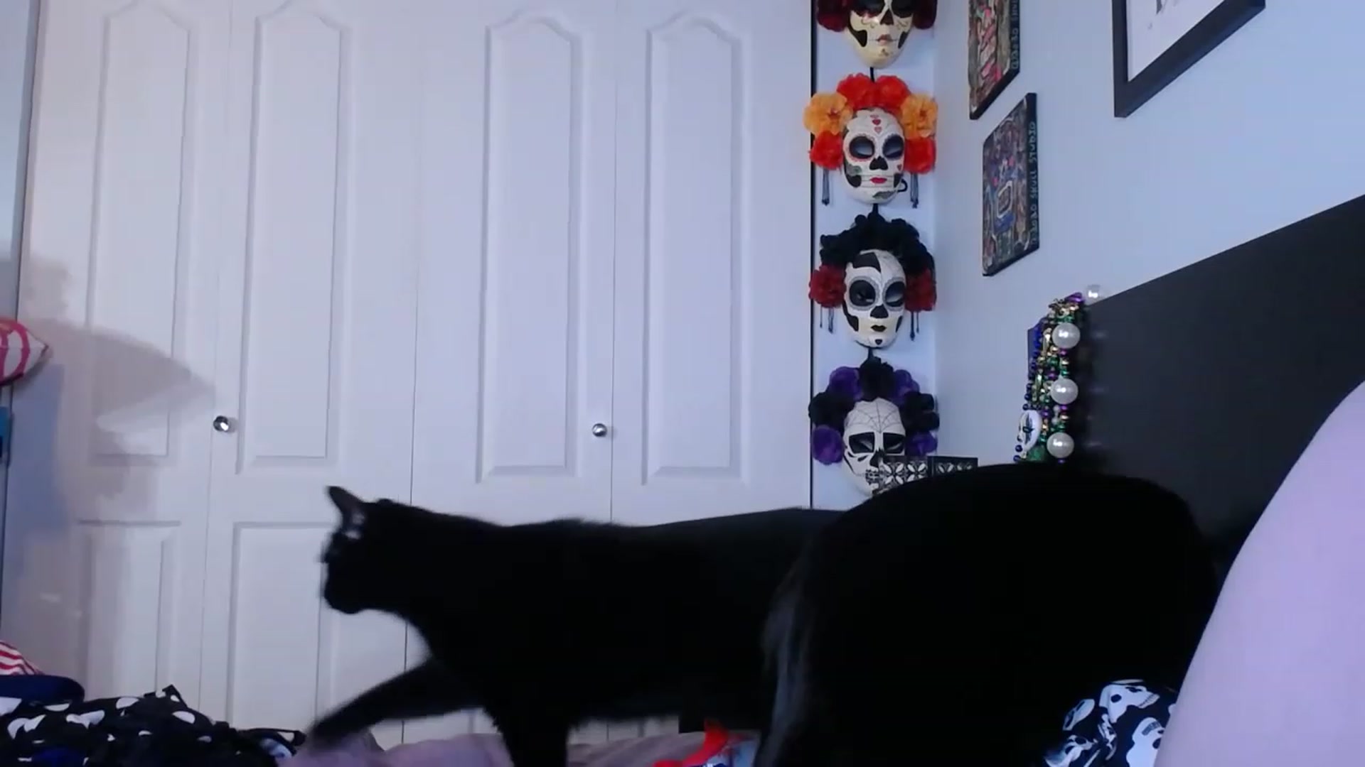 Gallery image thumbnail from abustybabe's myfreecams stream on, 06/07/2023, 22:13 image 15 of 20