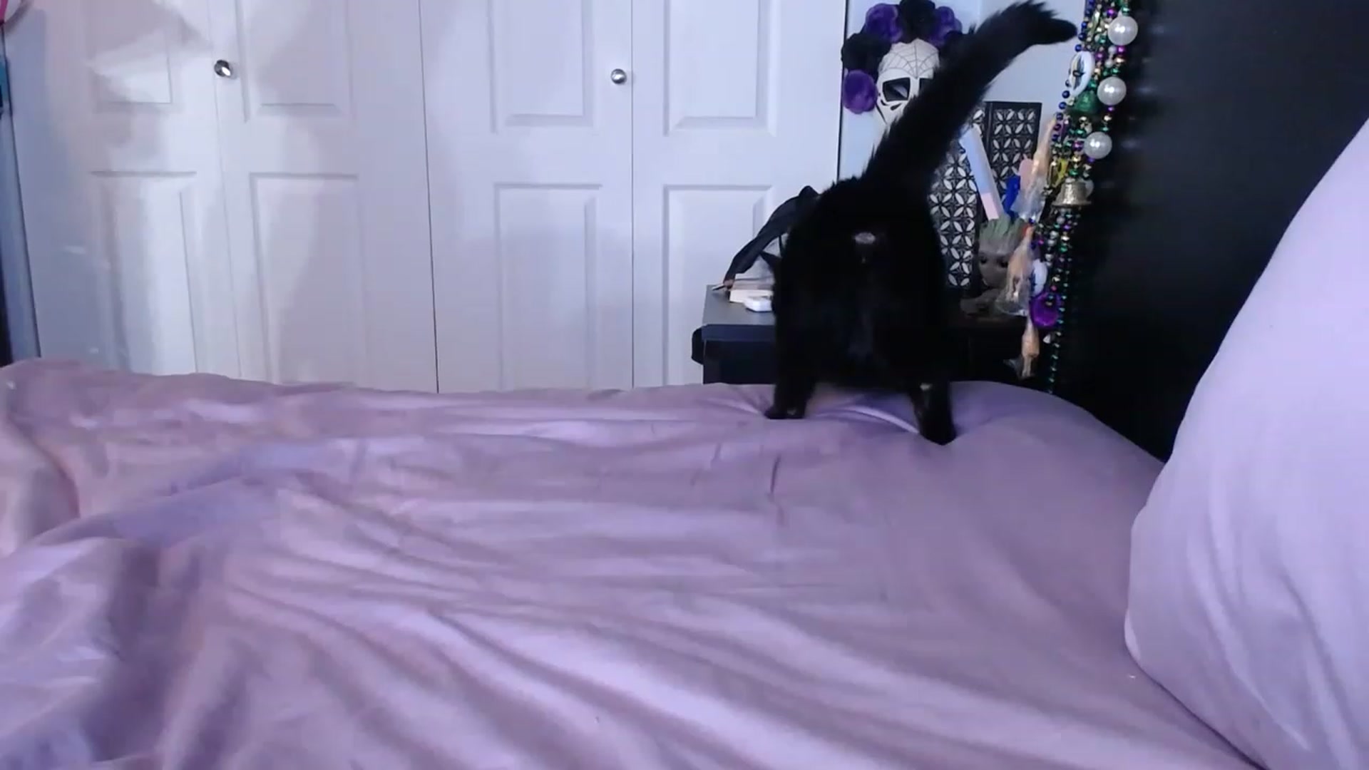 Gallery image thumbnail from abustybabe's myfreecams stream on, 06/07/2023, 22:13 image 8 of 20