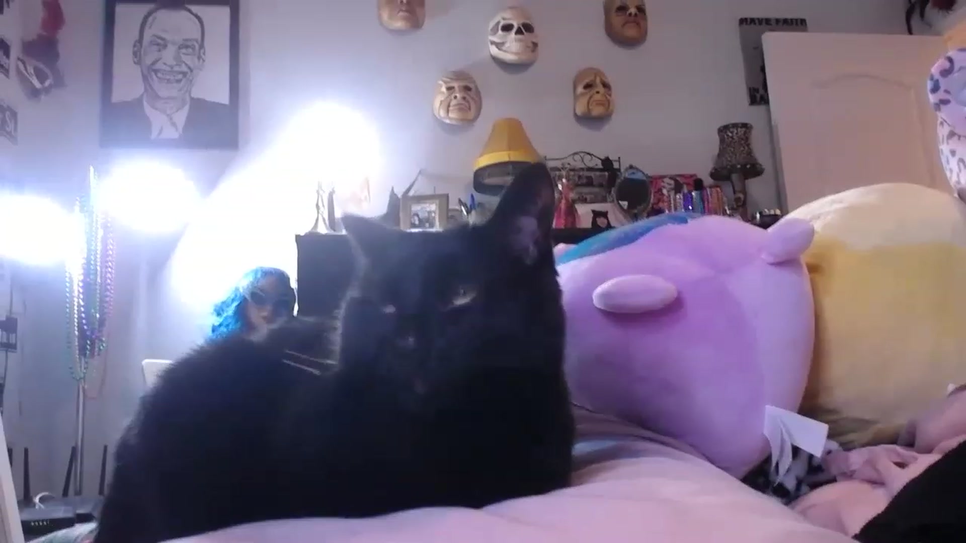 Gallery image thumbnail from abustybabe's myfreecams stream on, 06/14/2023, 22:01 image 7 of 20