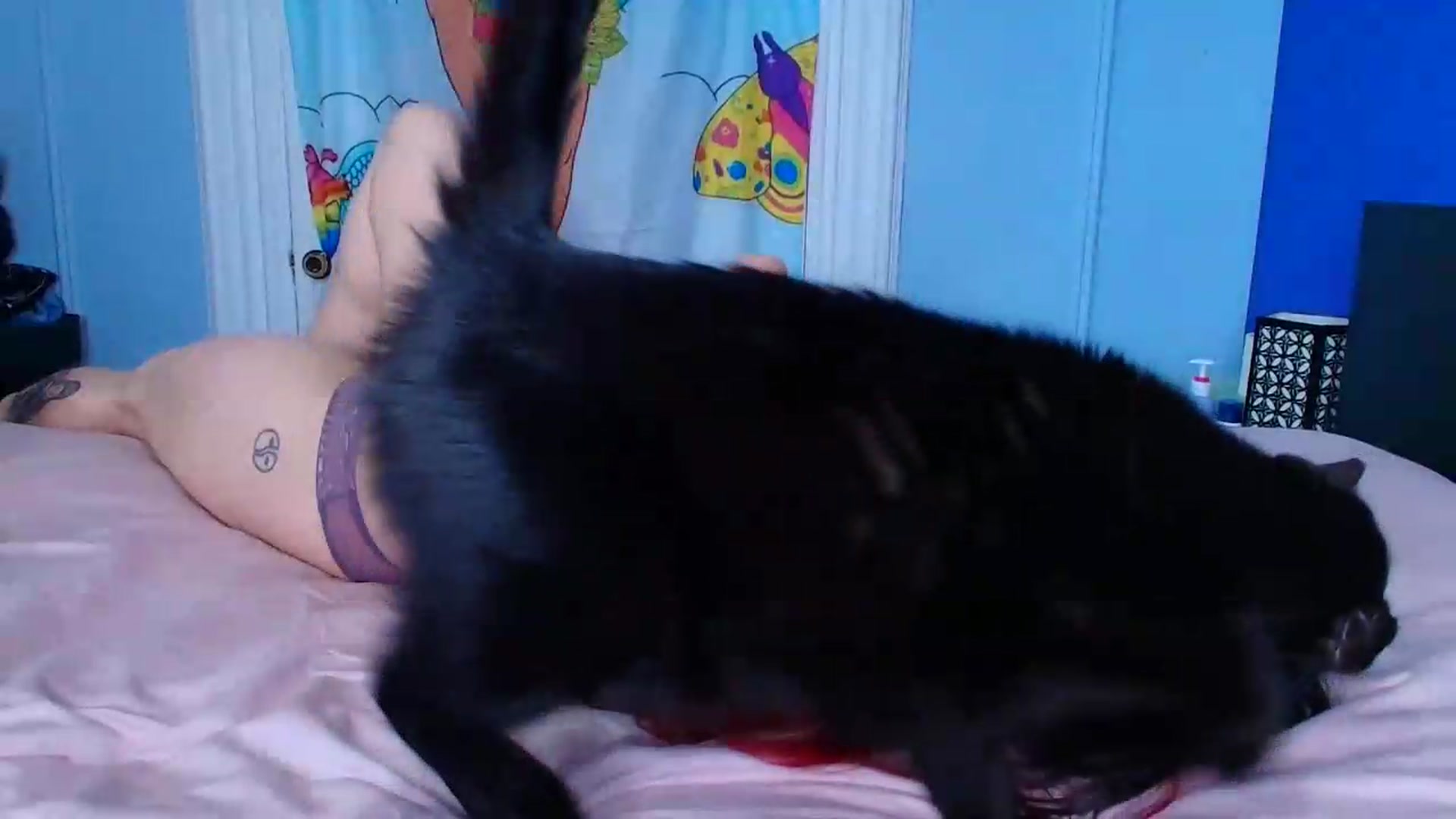 Gallery image thumbnail from abustybabe's myfreecams stream on, 05/15/2026, 20:26 image 17 of 20