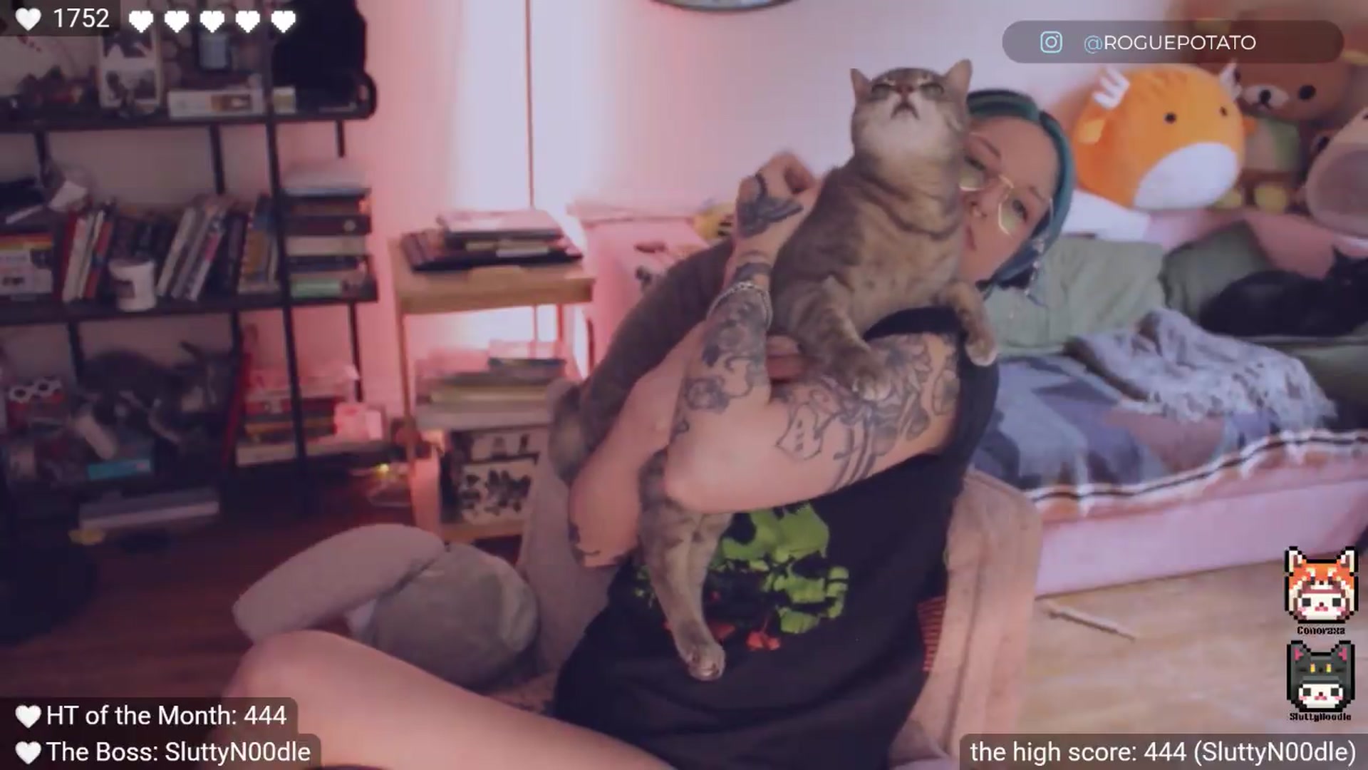 Gallery image thumbnail from actually_ashe's myfreecams stream on, 09/03/2026, 24:01 image 12 of 20