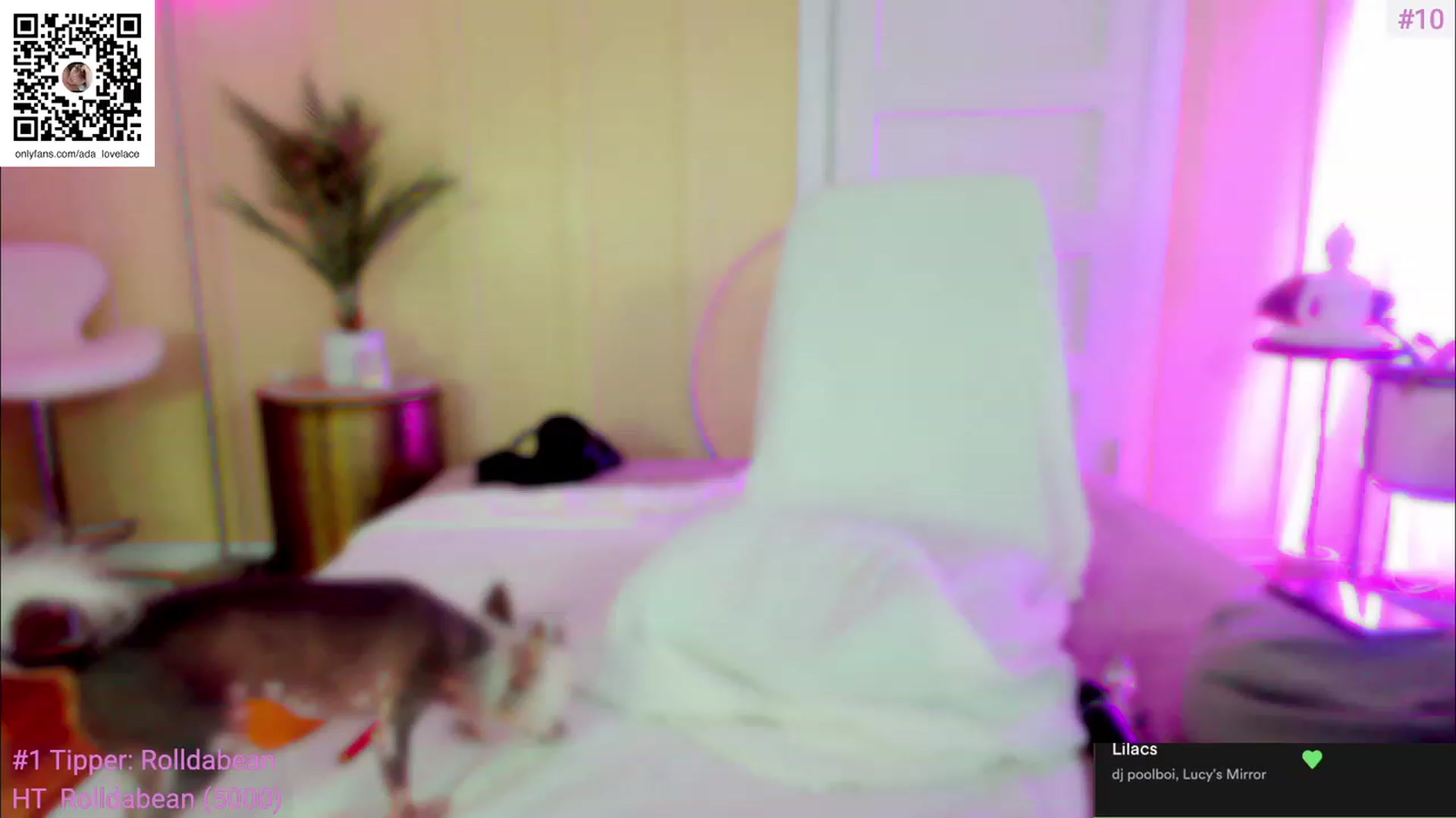 Gallery image thumbnail from ada_lovelace's myfreecams stream on, 03/03/2023, 02:17 image 9 of 20