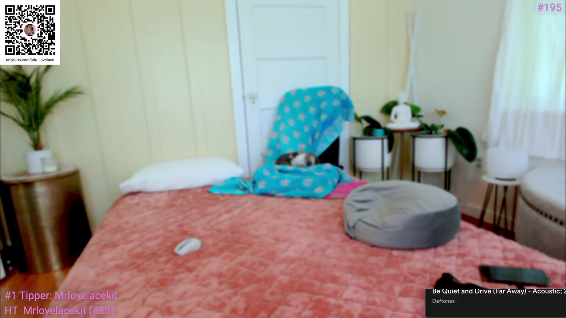 Gallery image thumbnail from ada_lovelace's myfreecams stream on, 03/23/2023, 21:33 image 20 of 20