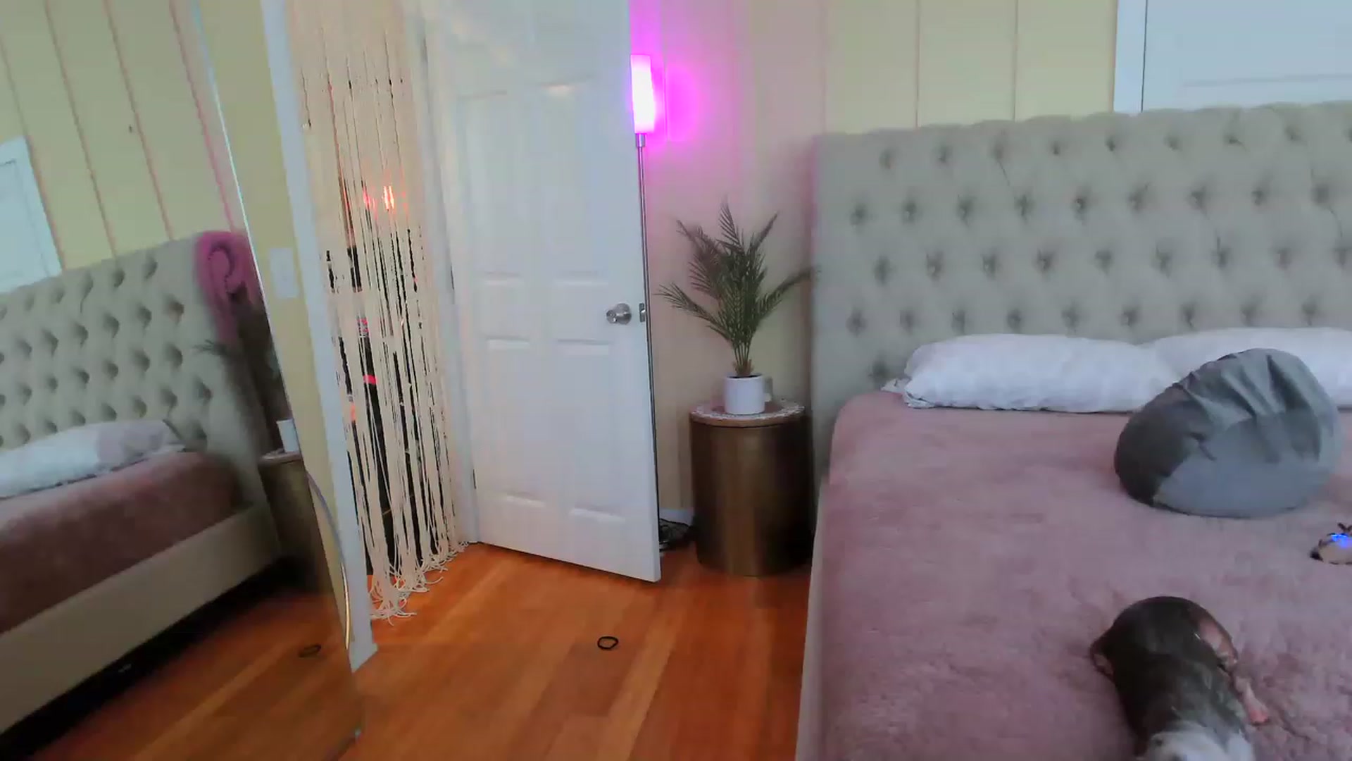 Gallery image thumbnail from ada_lovelace's myfreecams stream on, 04/15/2023, 23:26 image 17 of 20