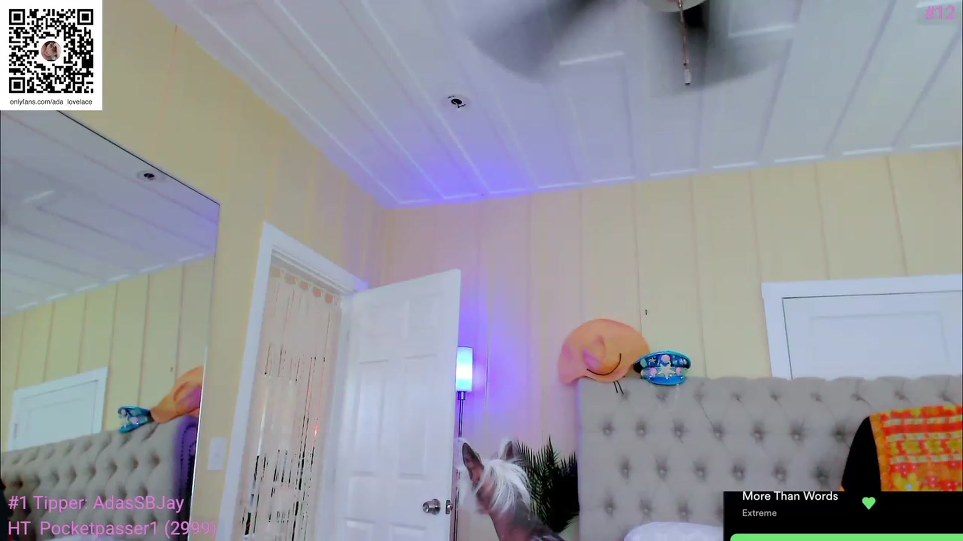Gallery image thumbnail from ada_lovelace's myfreecams stream on, 05/07/2023, 01:19 image 2 of 20