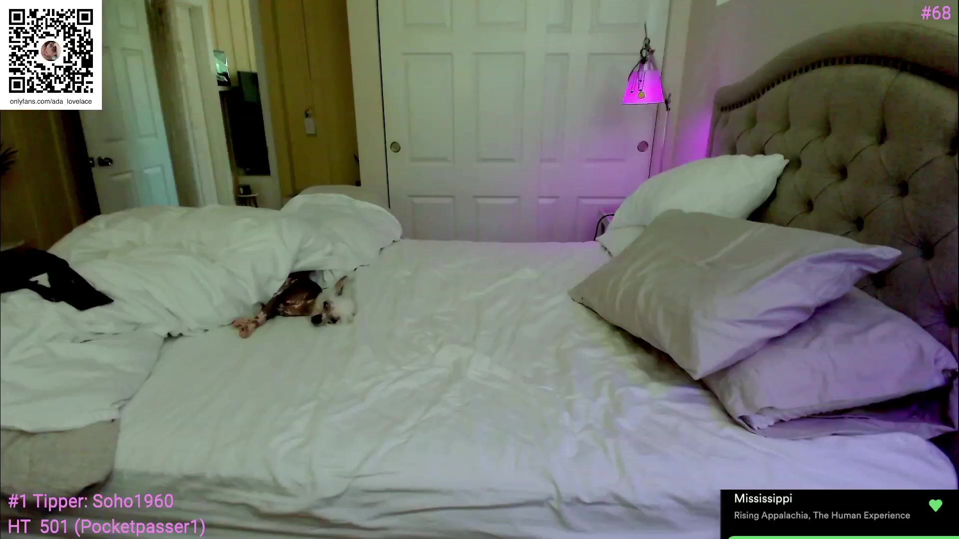 Gallery image thumbnail from ada_lovelace's myfreecams stream on, 06/08/2023, 22:47 image 9 of 20