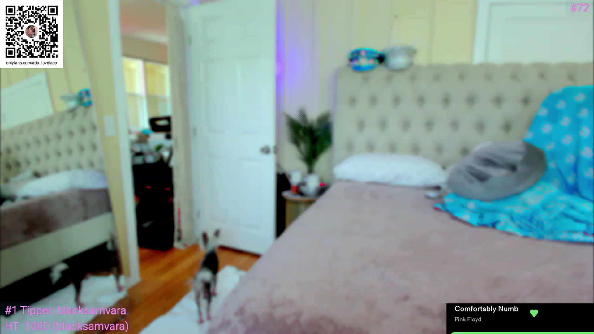 Gallery image thumbnail from ada_lovelace's myfreecams stream on, 06/14/2023, 01:11 image 8 of 20