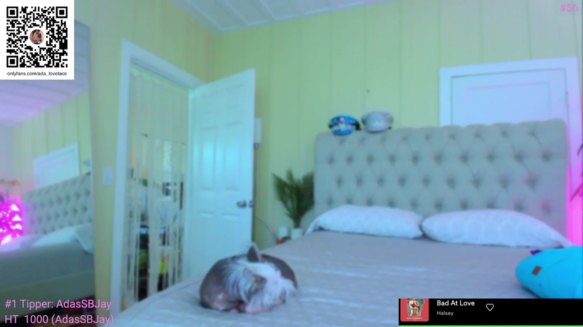 Gallery image thumbnail from ada_lovelace's myfreecams stream on, 06/24/2023, 02:10 image 3 of 20
