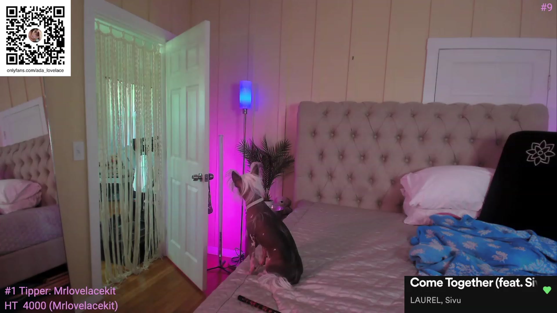 Gallery image thumbnail from ada_lovelace's myfreecams stream on, 08/12/2023, 02:13 image 7 of 20