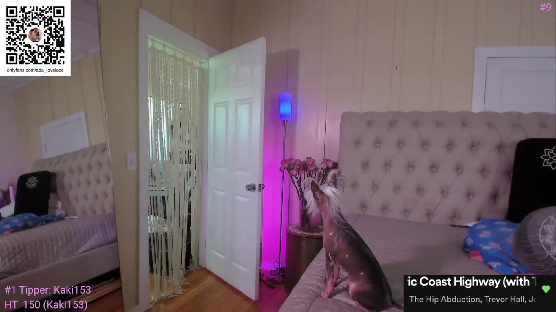 Gallery image thumbnail from ada_lovelace's myfreecams stream on, 08/18/2023, 24:18 image 4 of 20