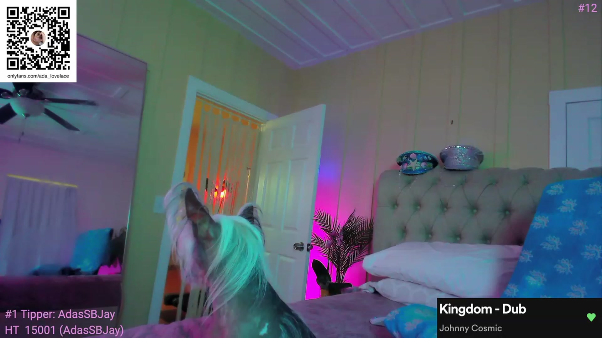 Gallery image thumbnail from ada_lovelace's myfreecams stream on, 10/12/2023, 03:24 image 1 of 20
