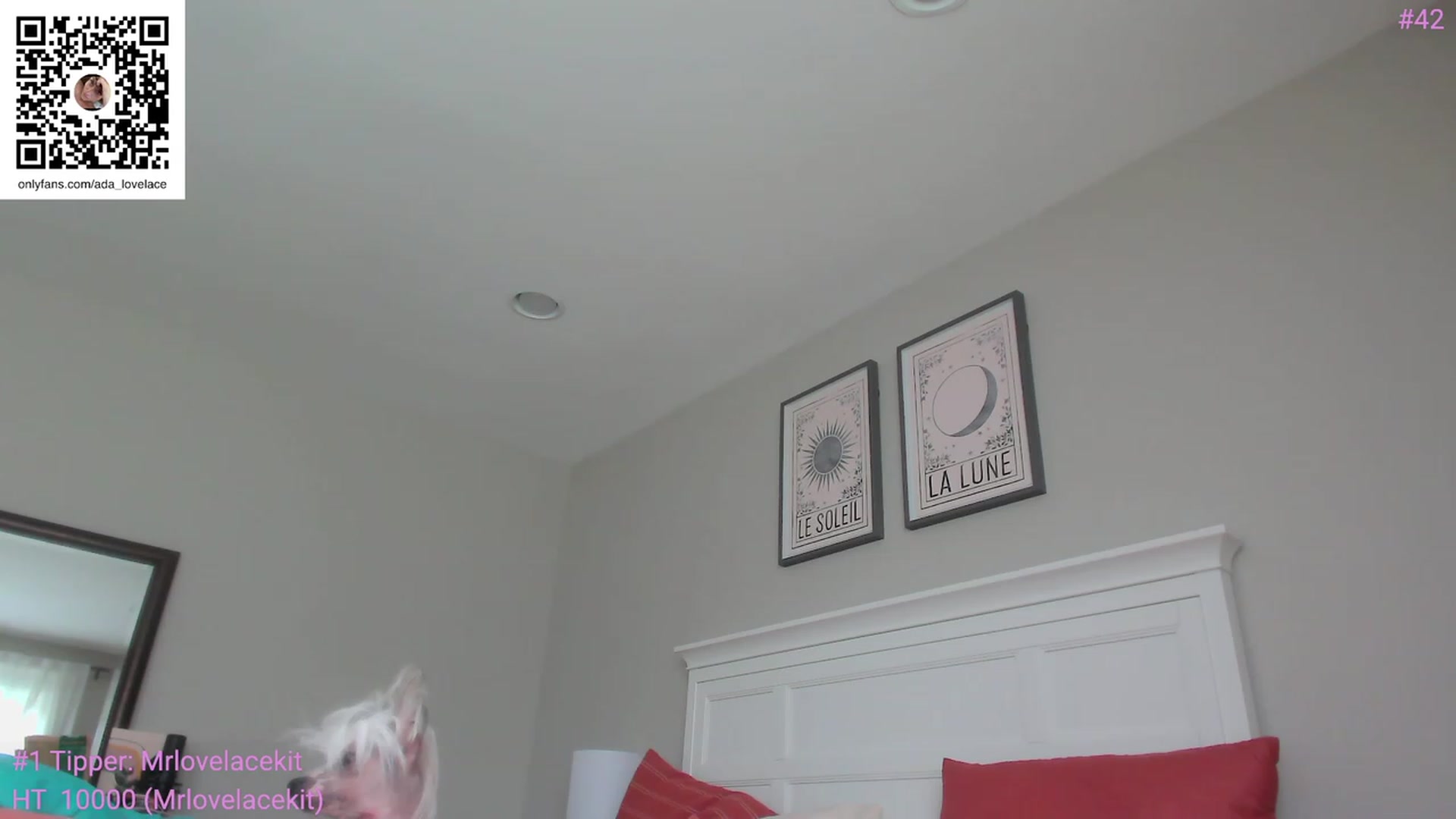Gallery image thumbnail from ada_lovelace's myfreecams stream on, 10/27/2023, 22:27 image 1 of 20