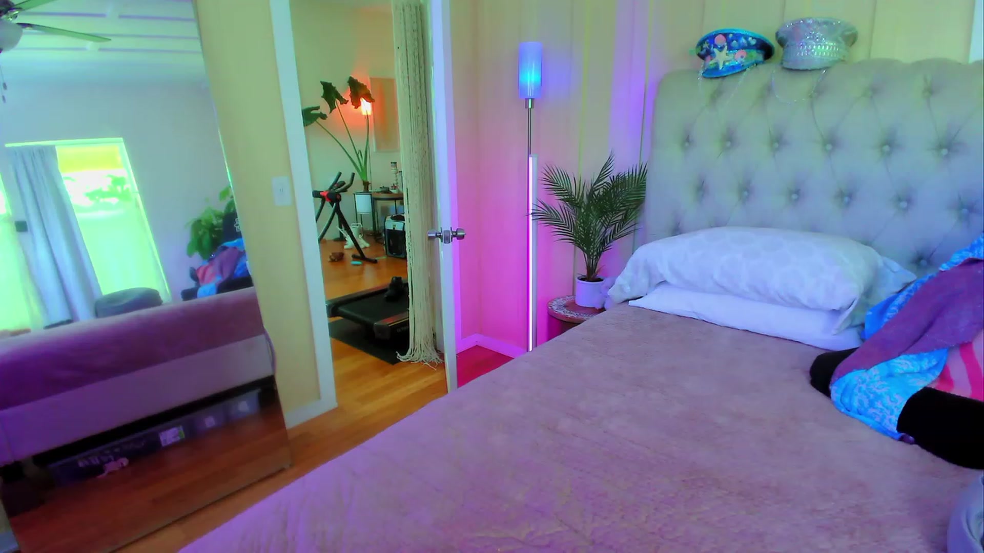 Gallery image thumbnail from ada_lovelace's myfreecams stream on, 11/24/2023, 21:45 image 6 of 20