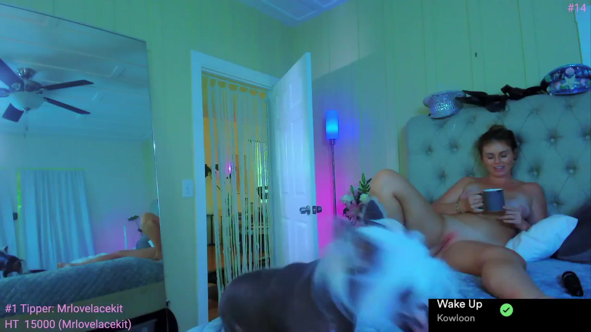 Gallery image thumbnail from ada_lovelace's myfreecams stream on, 02/16/2024, 03:01 image 12 of 20