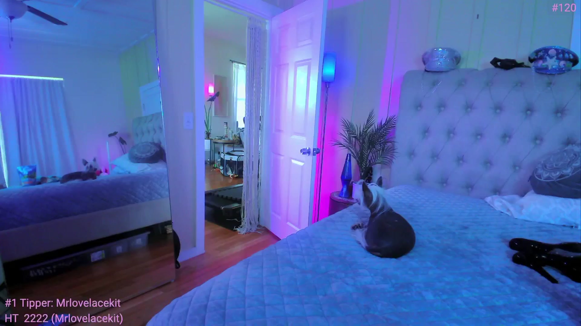 Gallery image thumbnail from ada_lovelace's myfreecams stream on, 03/09/2024, 24:58 image 17 of 20