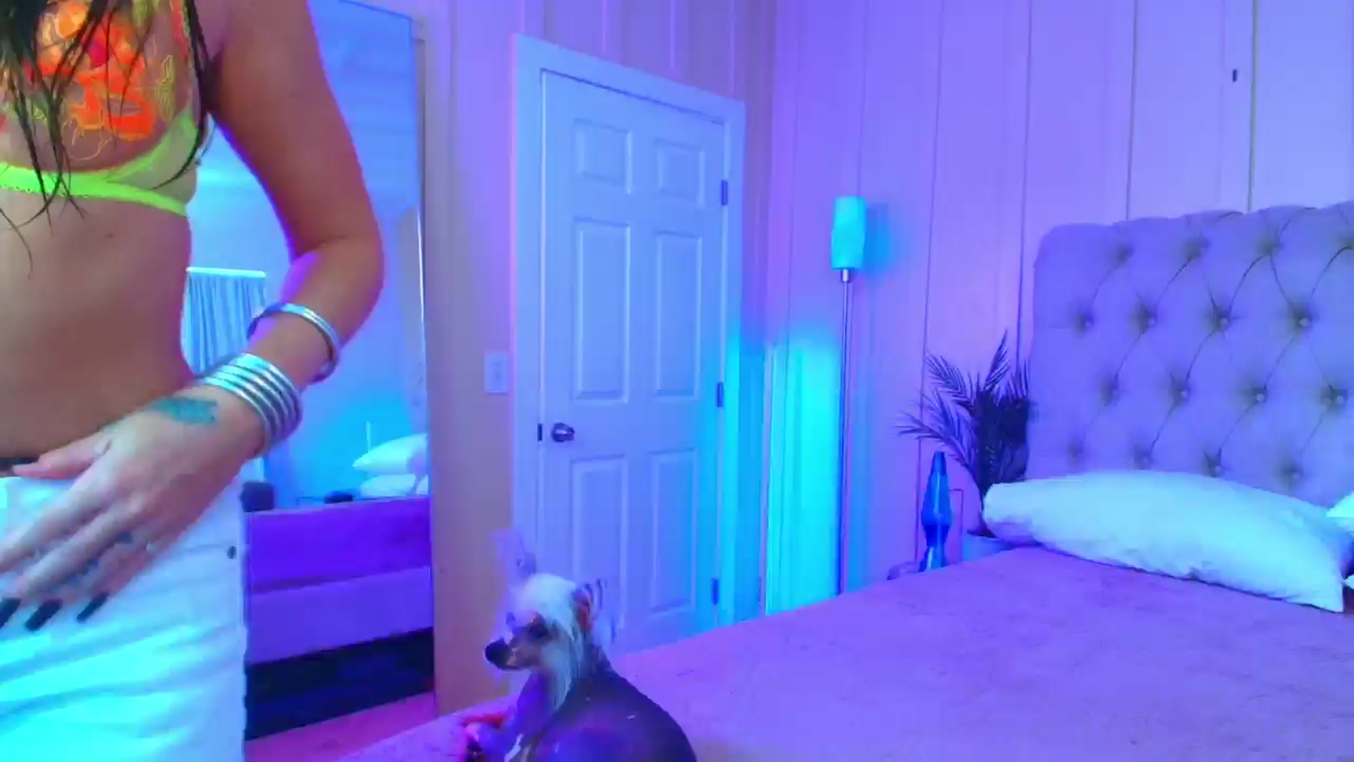 Gallery image thumbnail from ada_lovelace's myfreecams stream on, 06/25/2024, 04:30 image 1 of 20