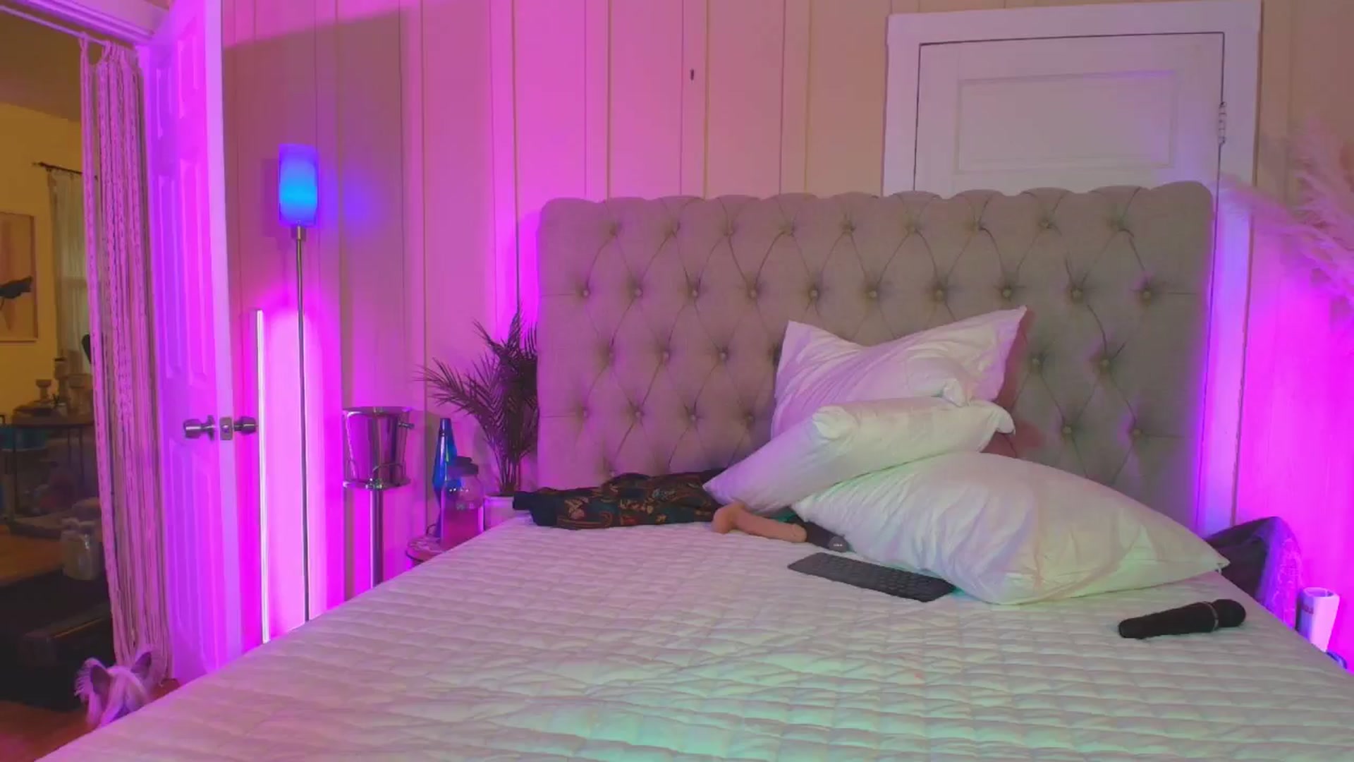 Gallery image thumbnail from ada_lovelace's myfreecams stream on, 12/15/2024, 04:10 image 19 of 20