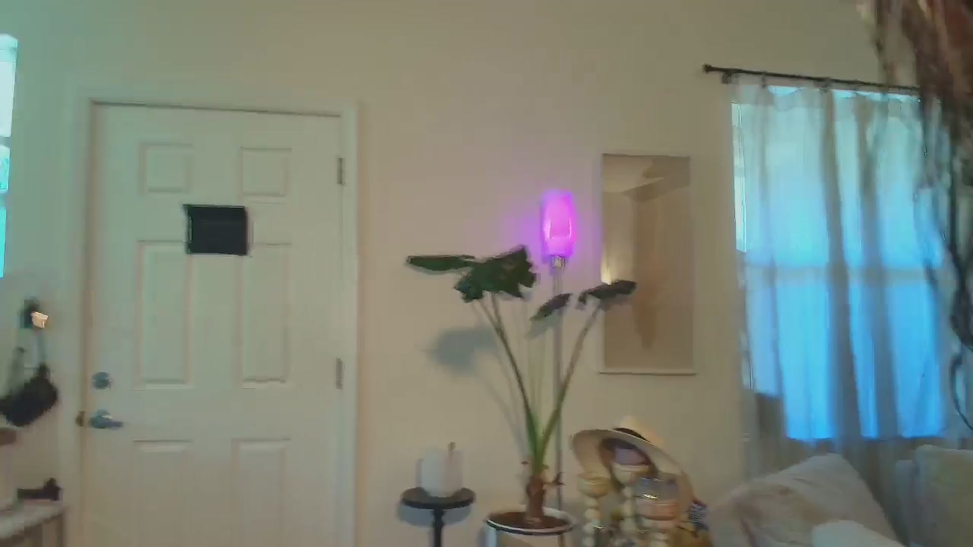 Gallery image thumbnail from ada_lovelace's myfreecams stream on, 12/25/2024, 01:25 image 12 of 20