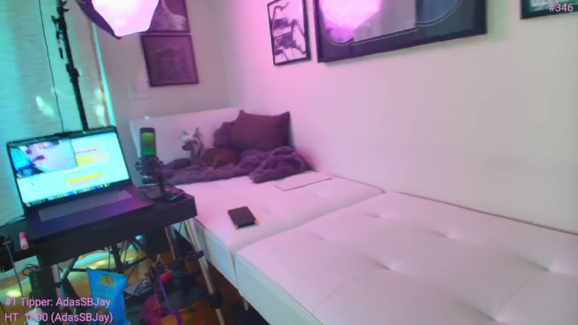 Gallery image thumbnail from ada_lovelace's myfreecams stream on, 02/23/2025, 02:20 image 2 of 20
