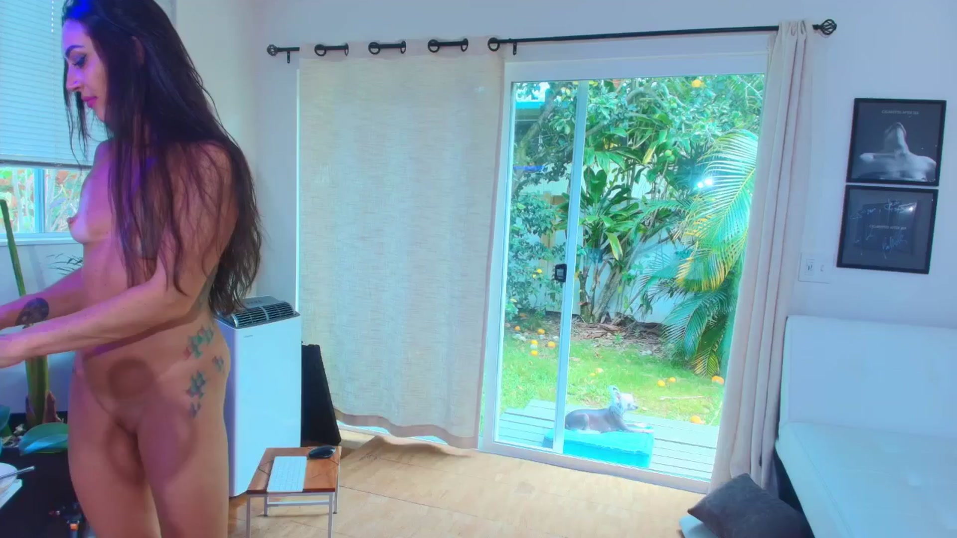 Gallery image thumbnail from ada_lovelace's myfreecams stream on, 04/30/2025, 01:54 image 7 of 20