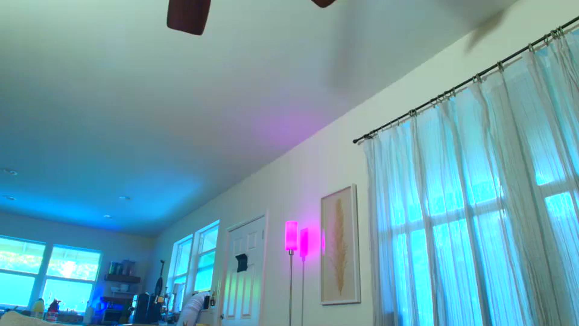 Gallery image thumbnail from ada_lovelace's myfreecams stream on, 08/24/2025, 04:56 image 8 of 20