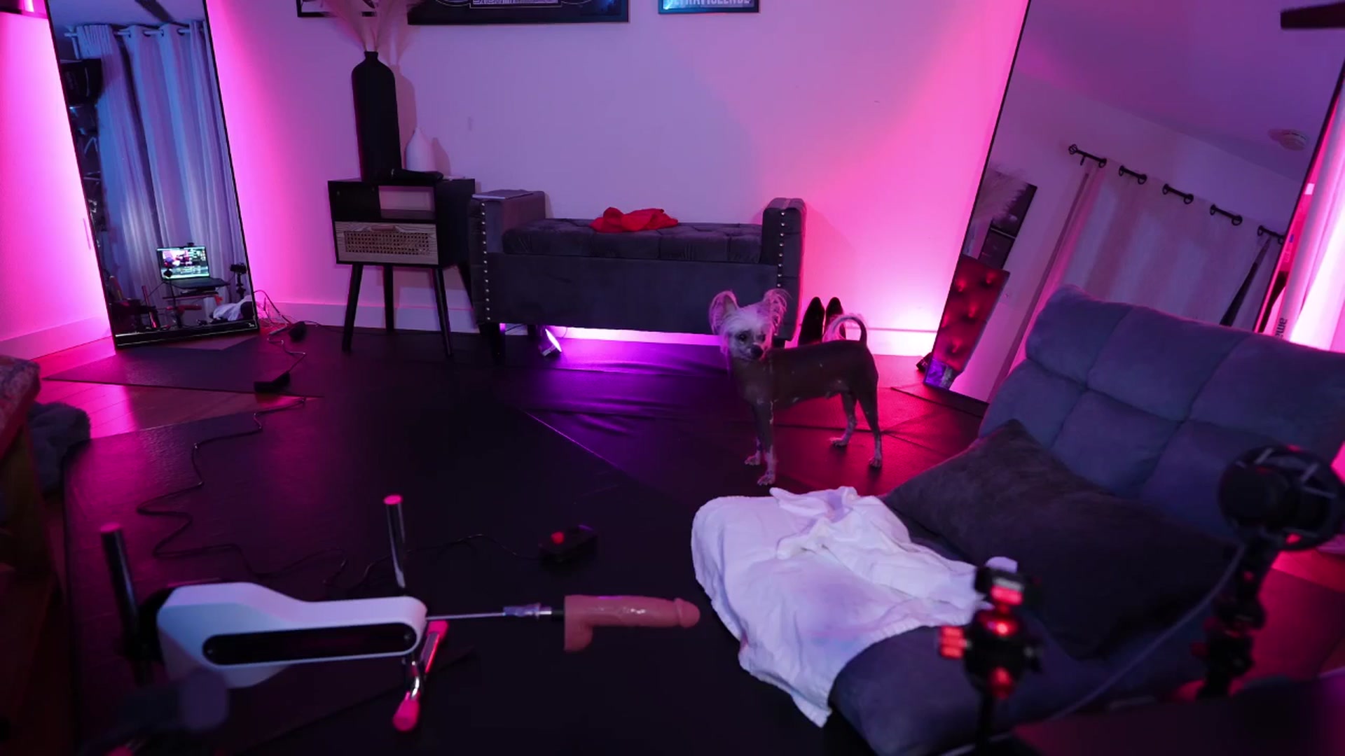 Gallery image thumbnail from ada_lovelace's myfreecams stream on, 10/18/2025, 07:23 image 19 of 20