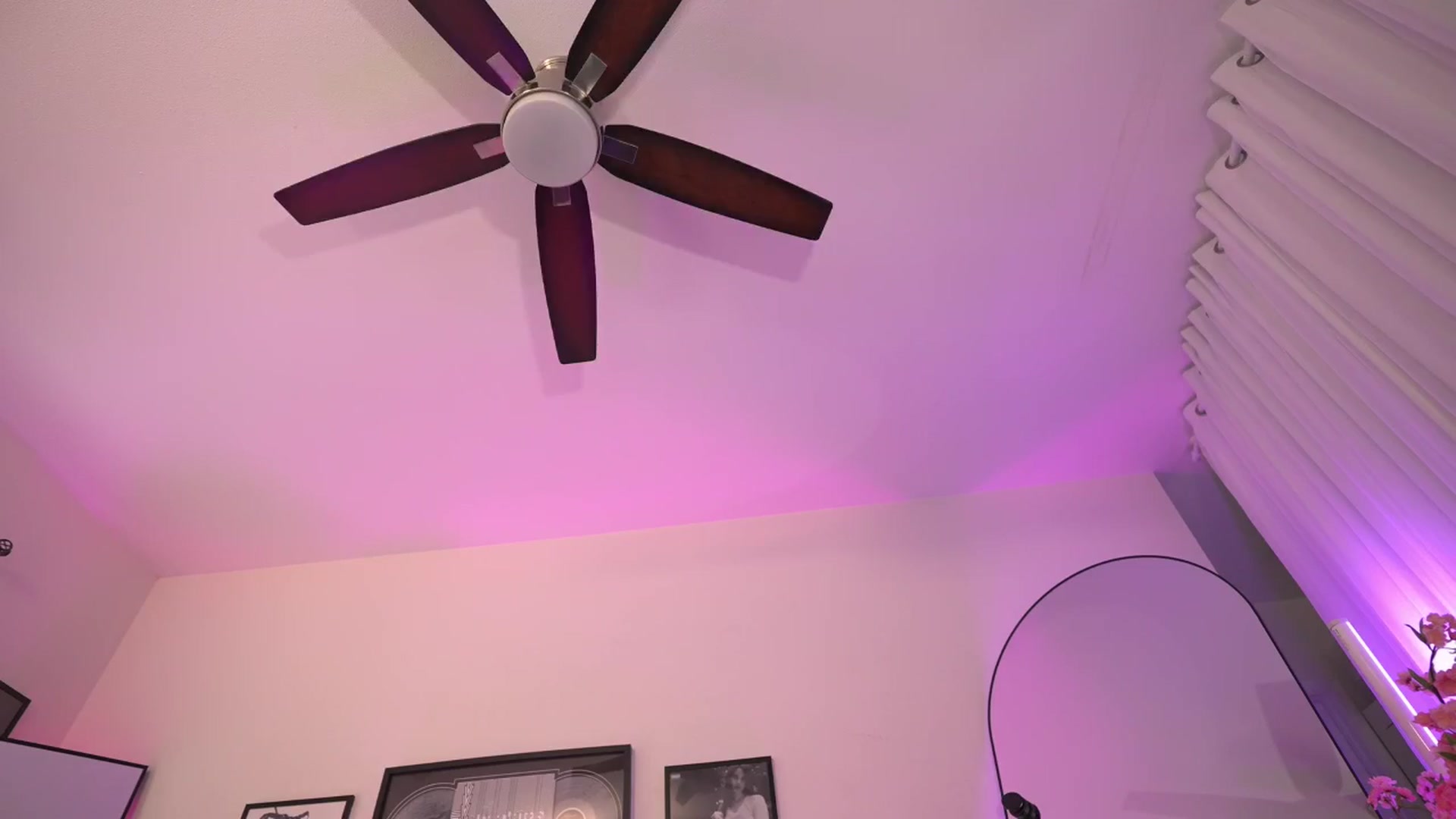 Gallery image thumbnail from ada_lovelace's myfreecams stream on, 01/23/2026, 03:46 image 10 of 20