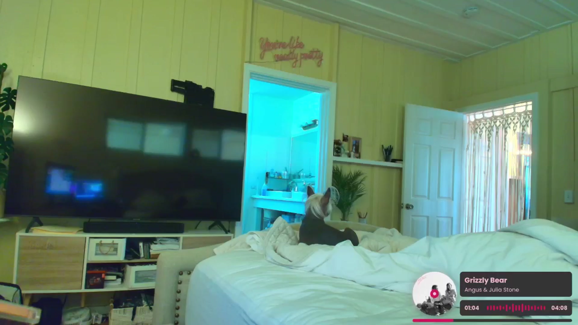 Gallery image thumbnail from ada_lovelace's myfreecams stream on, 01/25/2026, 22:03 image 15 of 20