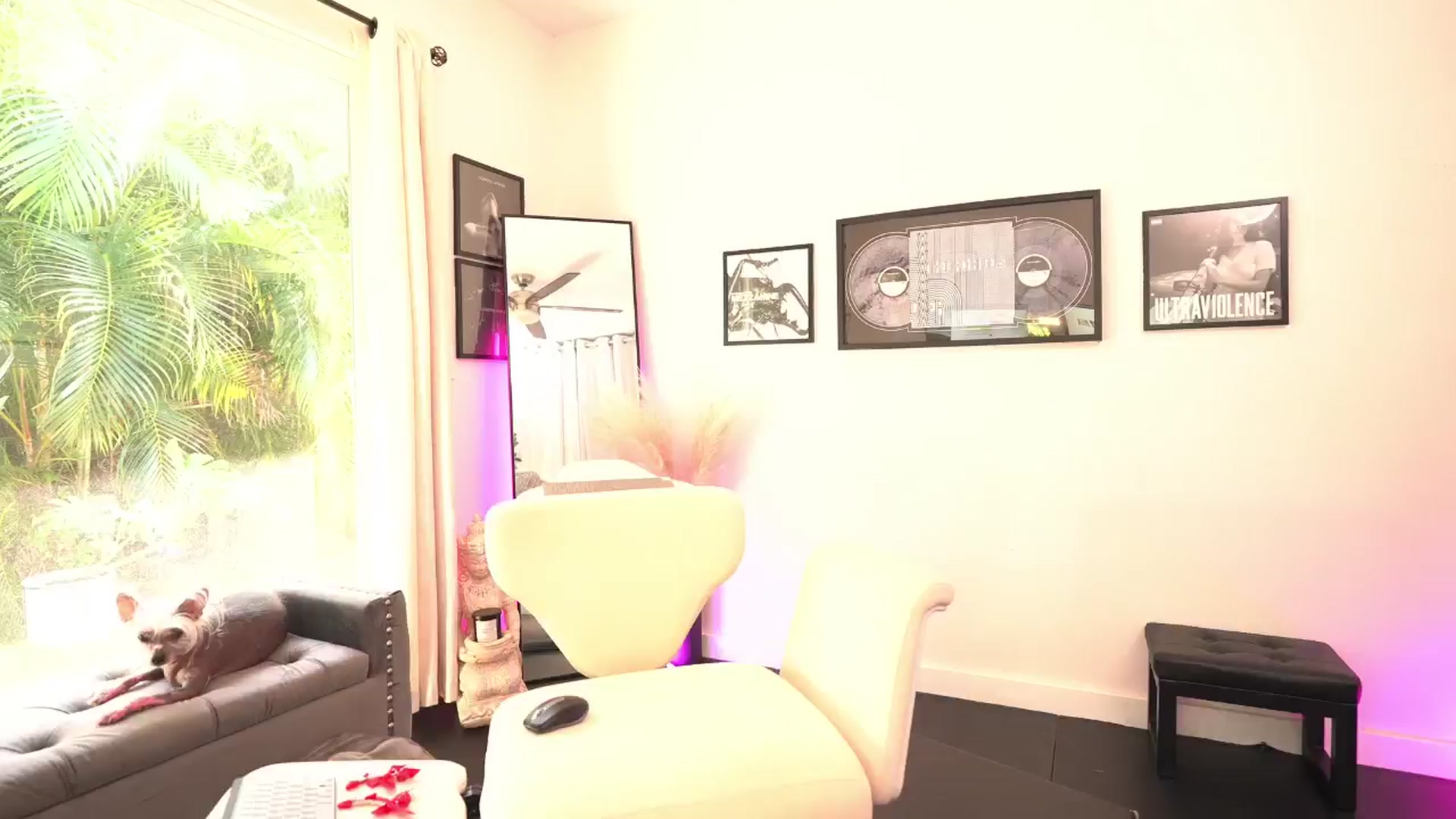 Gallery image thumbnail from ada_lovelace's myfreecams stream on, 03/04/2026, 03:36 image 11 of 20