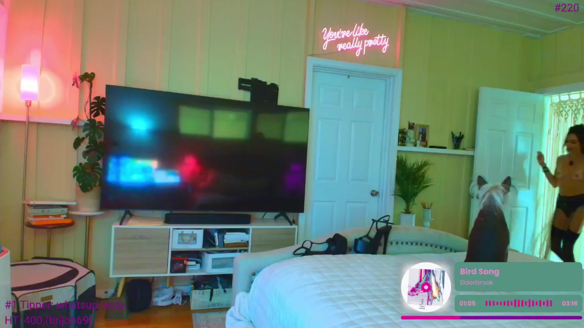 Gallery image thumbnail from ada_lovelace's myfreecams stream on, 03/28/2026, 02:38 image 5 of 20