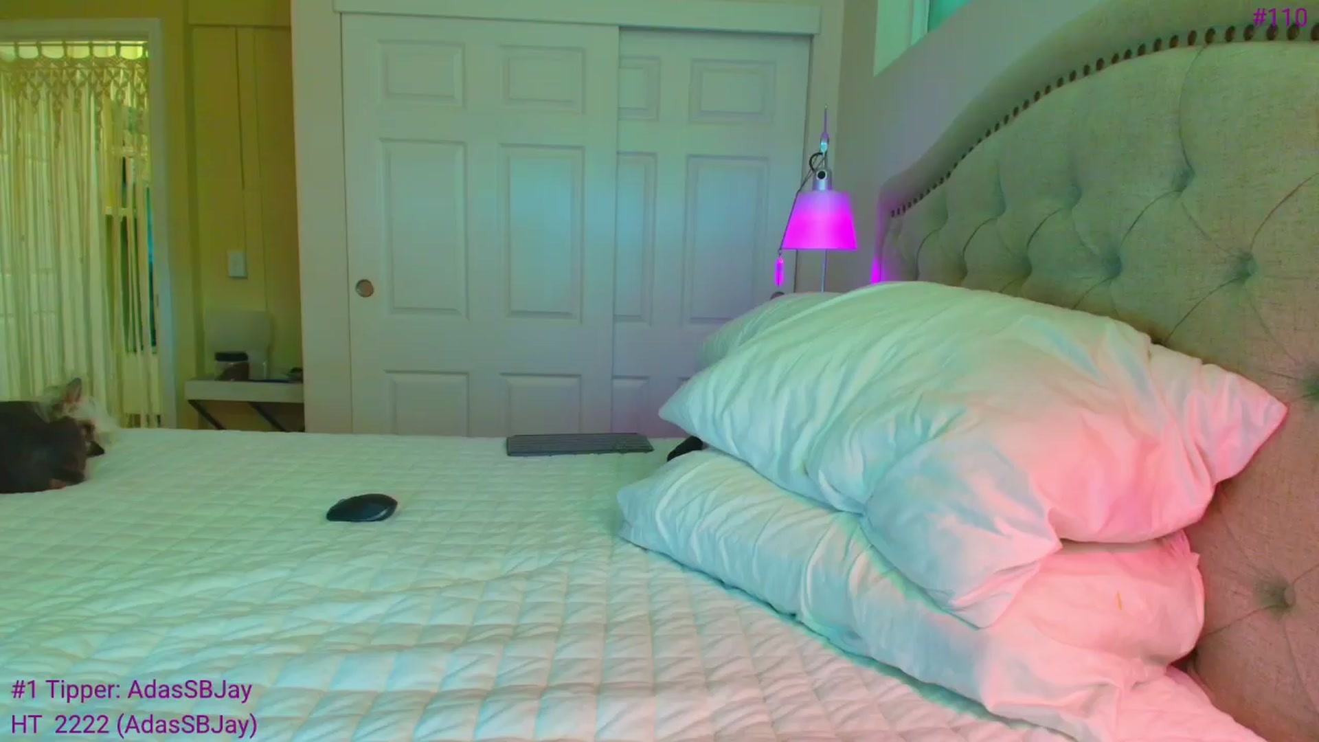 Gallery image thumbnail from ada_lovelace's myfreecams stream on, 04/11/2026, 03:32 image 10 of 20
