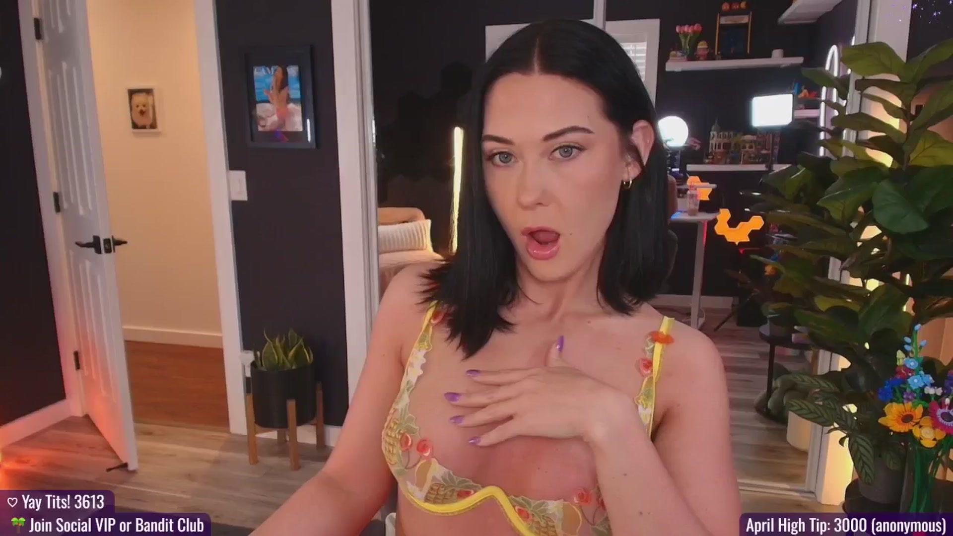 Gallery image thumbnail from addi_x's myfreecams stream on, 04/08/2025, 21:02 image 1 of 20