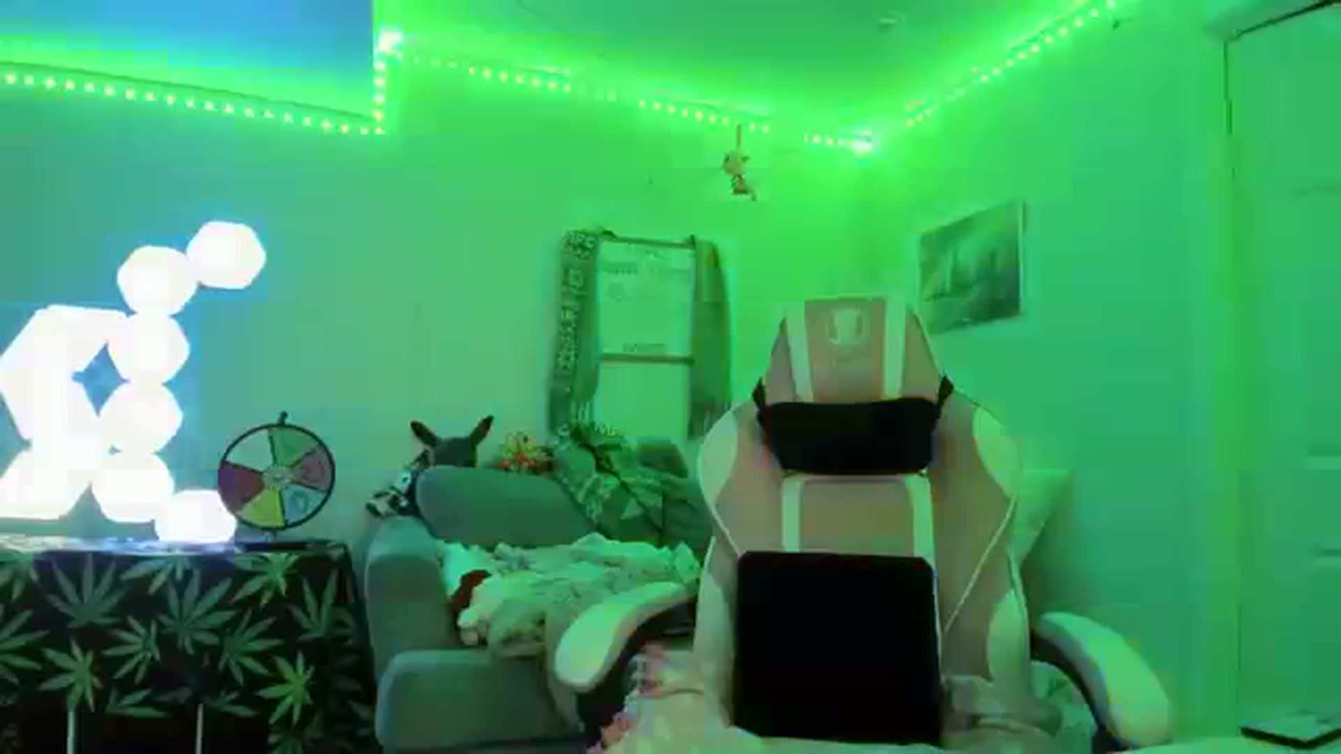 Gallery image thumbnail from adi_spice's myfreecams stream on, 01/17/2024, 04:41 image 13 of 20