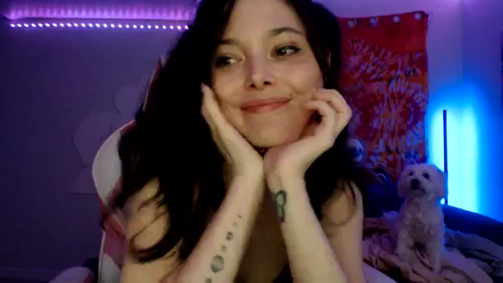 Gallery image thumbnail from adira_rose's myfreecams stream on, 08/17/2024, 05:24 image 19 of 20