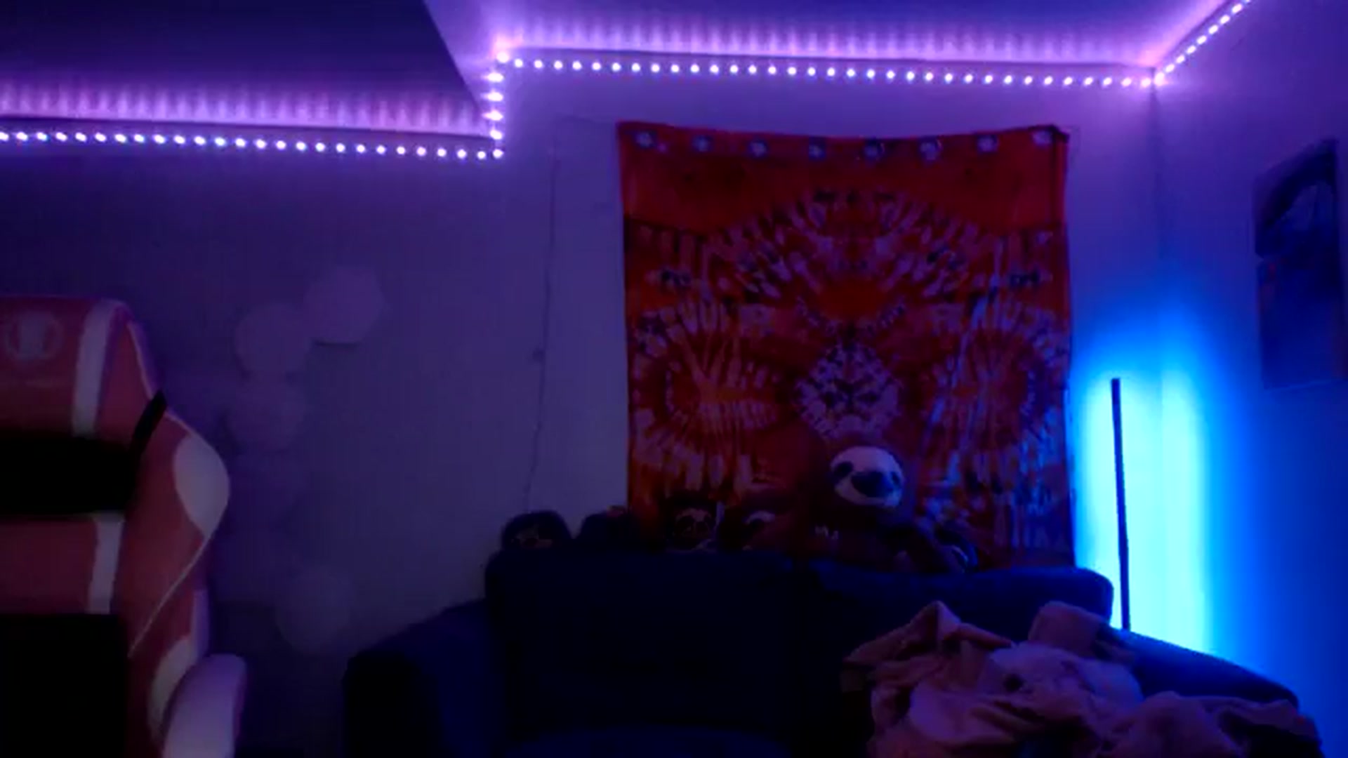 Gallery image thumbnail from adira_rose's myfreecams stream on, 08/17/2024, 05:24 image 15 of 20