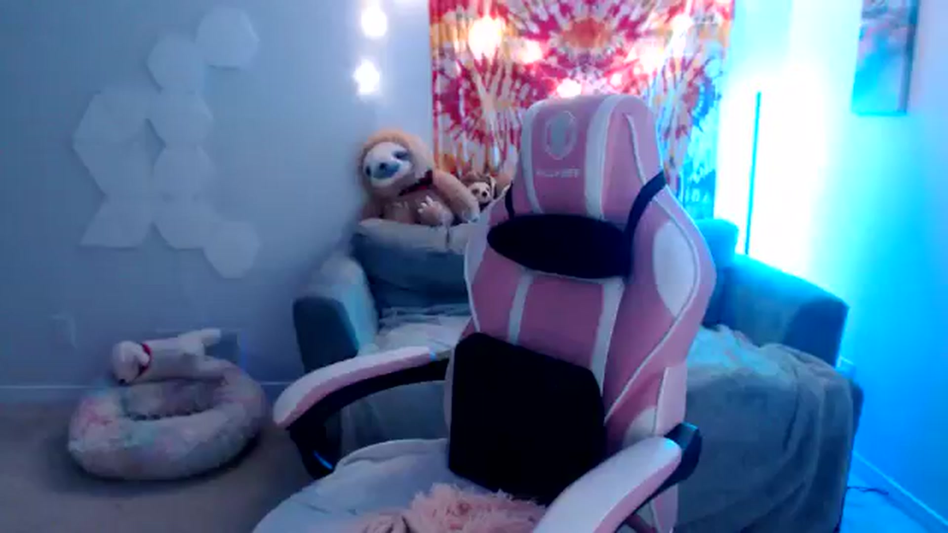 Gallery image thumbnail from adira_rose's myfreecams stream on, 08/18/2024, 03:40 image 9 of 20