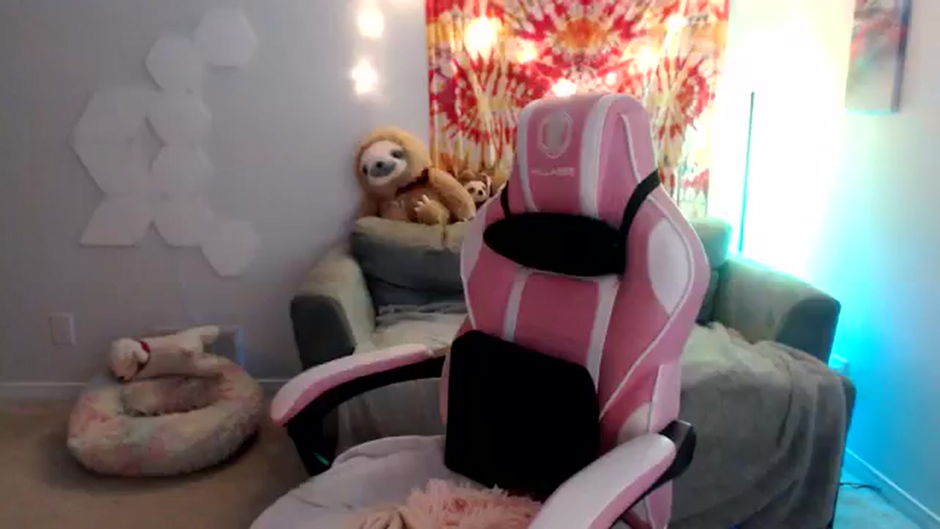 Gallery image thumbnail from adira_rose's myfreecams stream on, 08/18/2024, 03:40 image 10 of 20