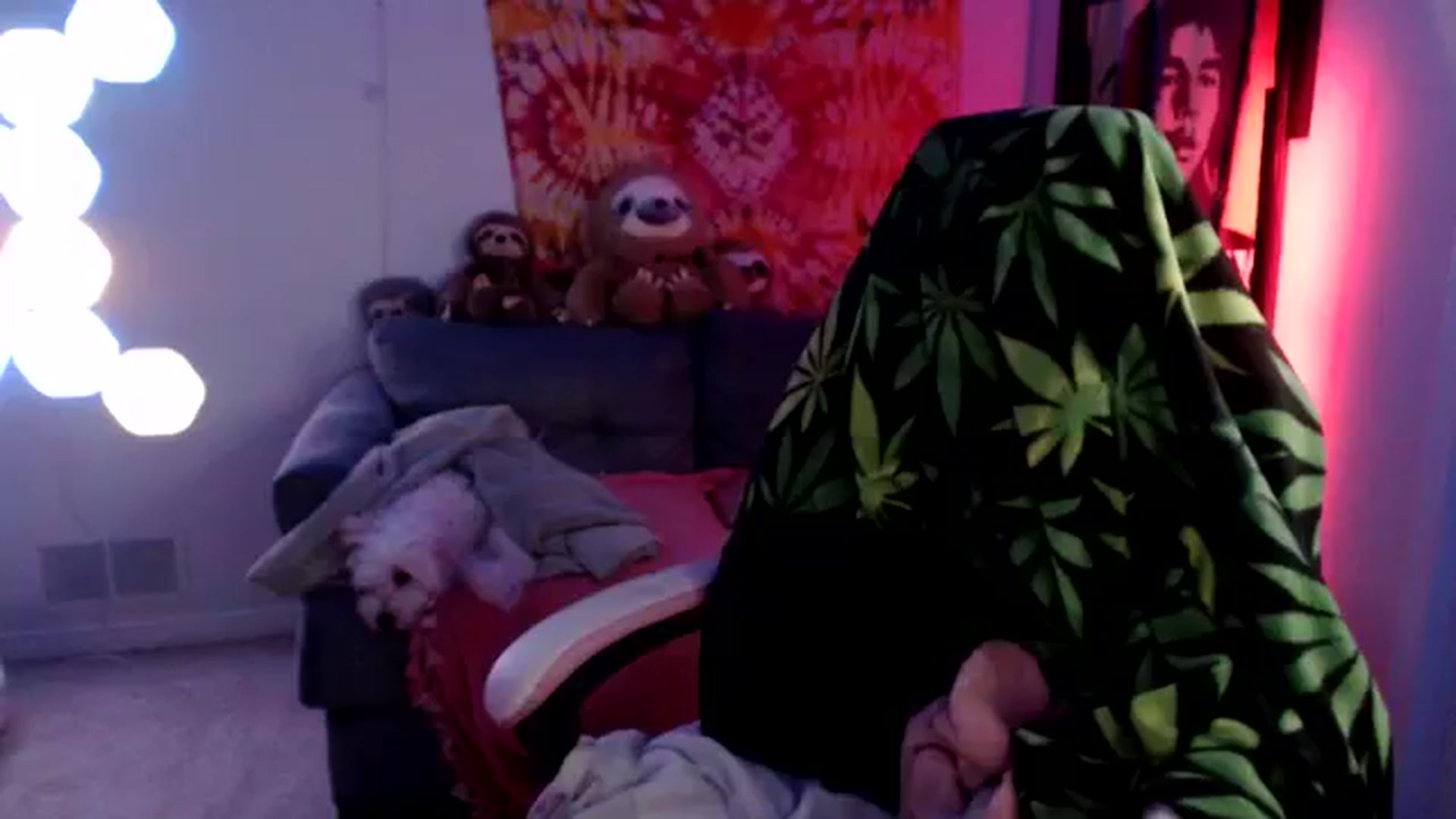 Gallery image thumbnail from adira_rose's myfreecams stream on, 09/30/2024, 24:45 image 9 of 20