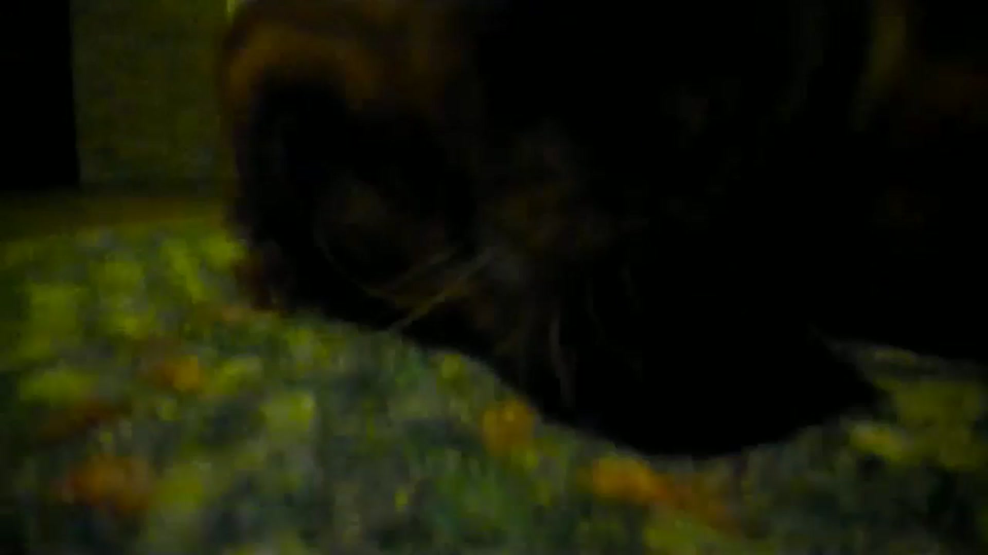 Gallery image thumbnail from adrey_'s myfreecams stream on, 12/11/2023, 04:05 image 11 of 20
